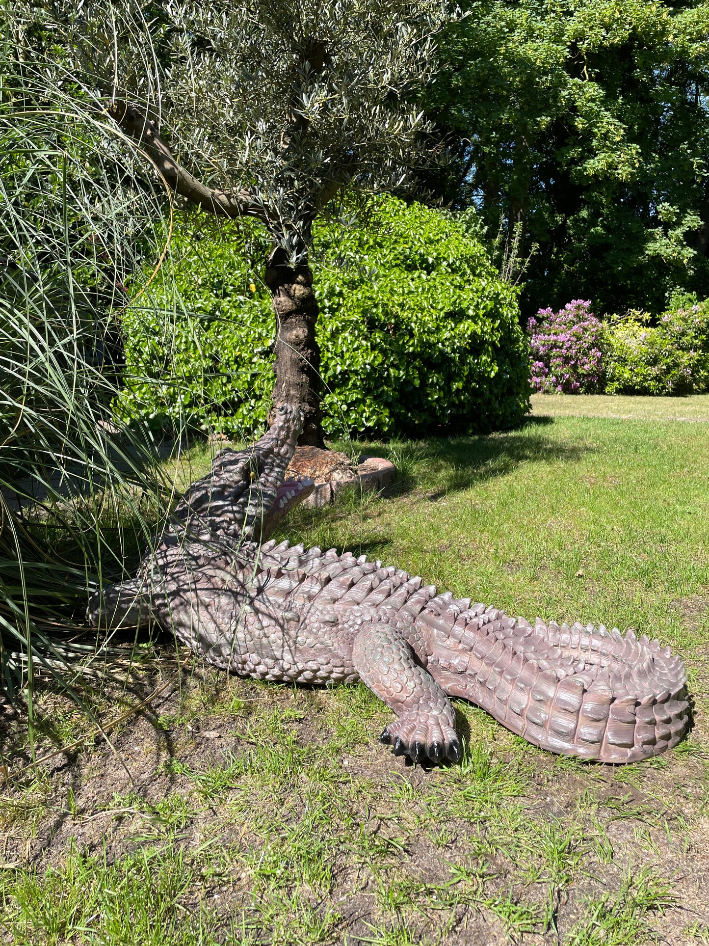 Beeld krokodil, grijs groen zwembad, vijver, boerderij 125cm