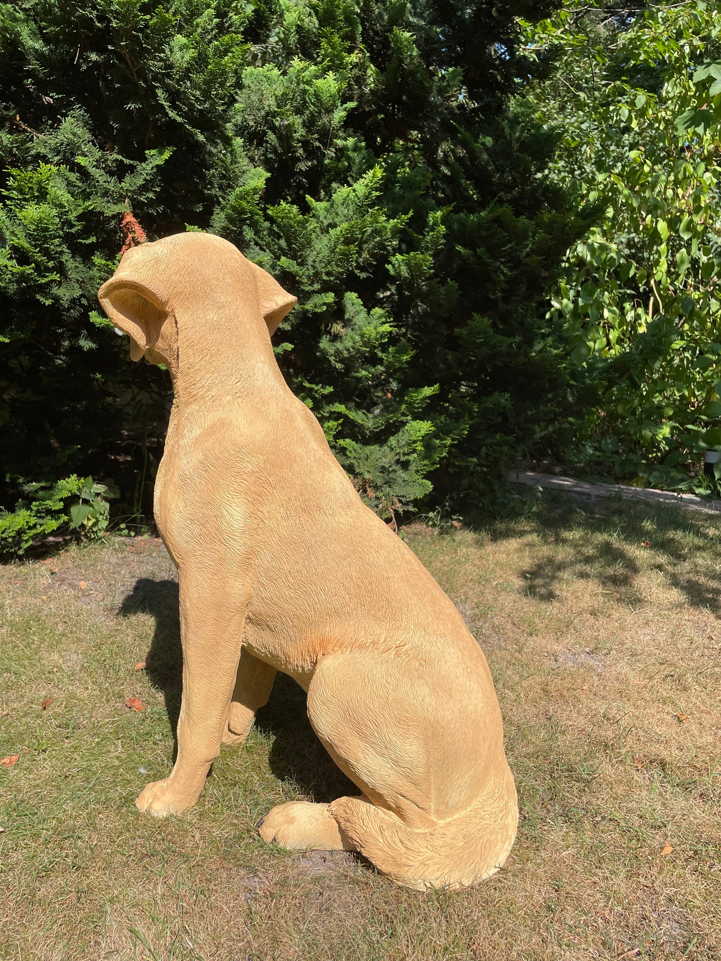 Beeld hond labrador,  Golden Retriever licht goud 80cm