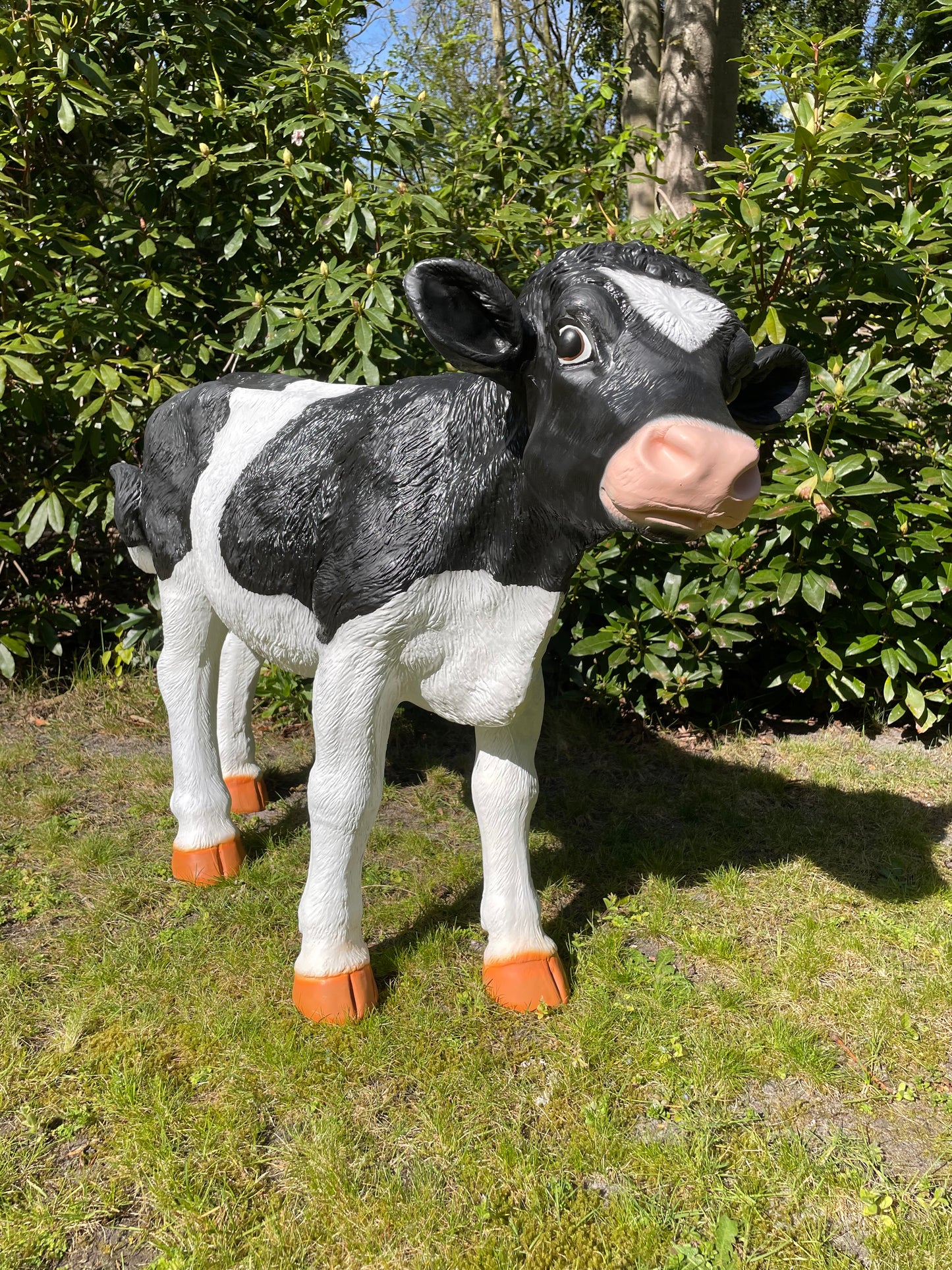 Beeld set kalf, Koe tuin, vijver, boerderij, dierentuin 75-105cm