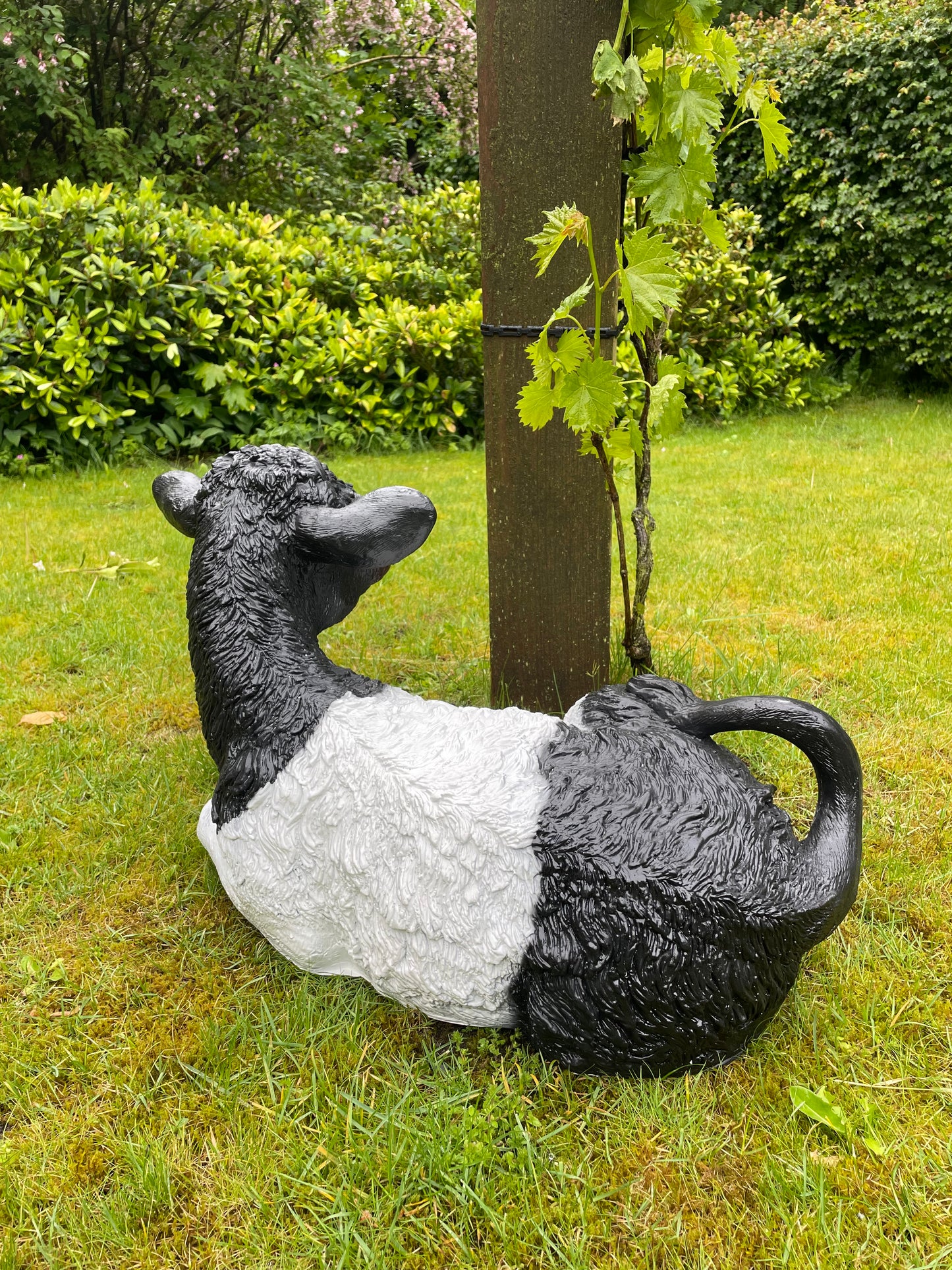 Koe kalf tuin, vijver, boerderij, dierentuin 75cm