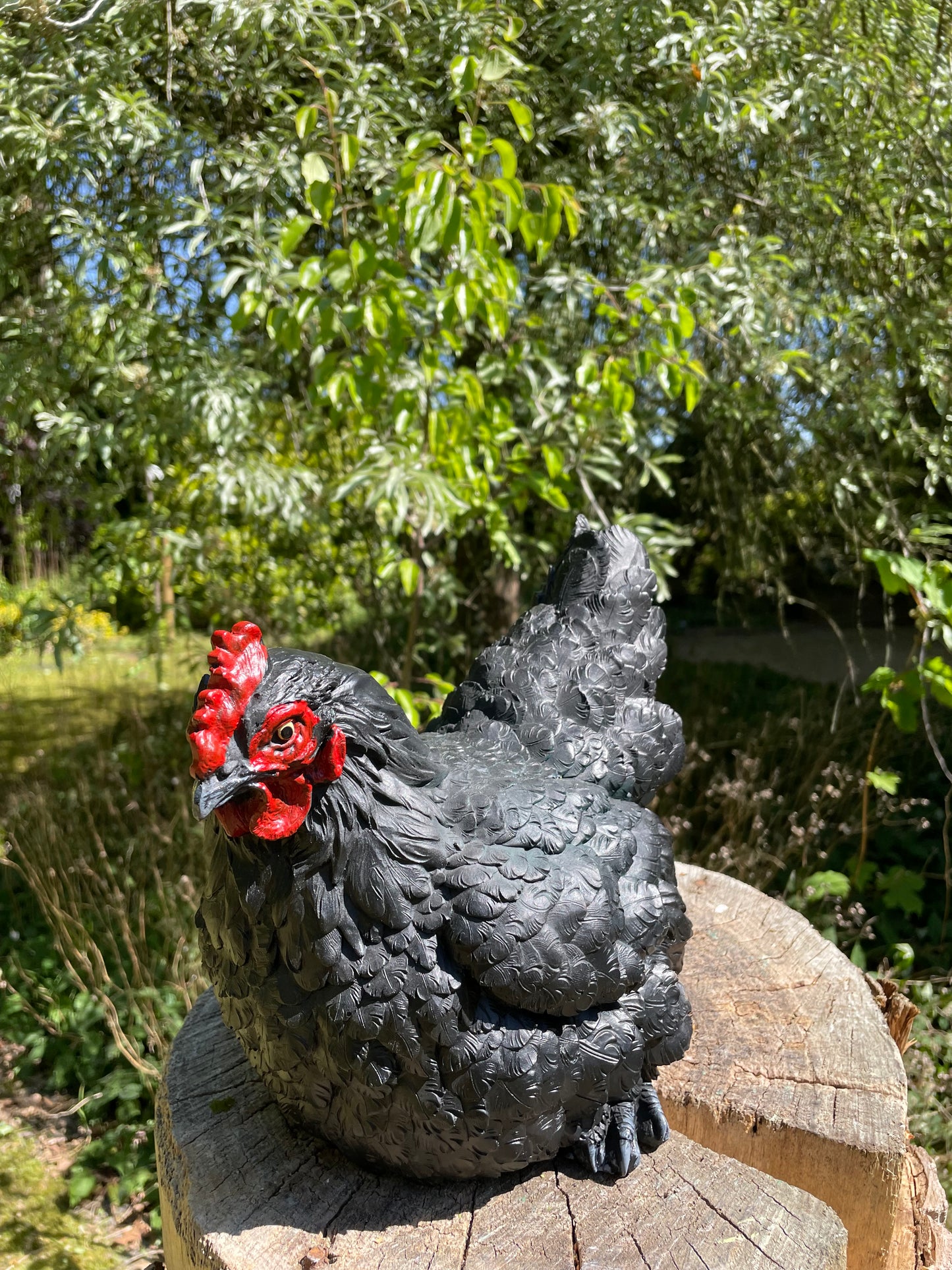 Beeld kip, zwart, tuin, vijver, gazon, boerderij 30cm