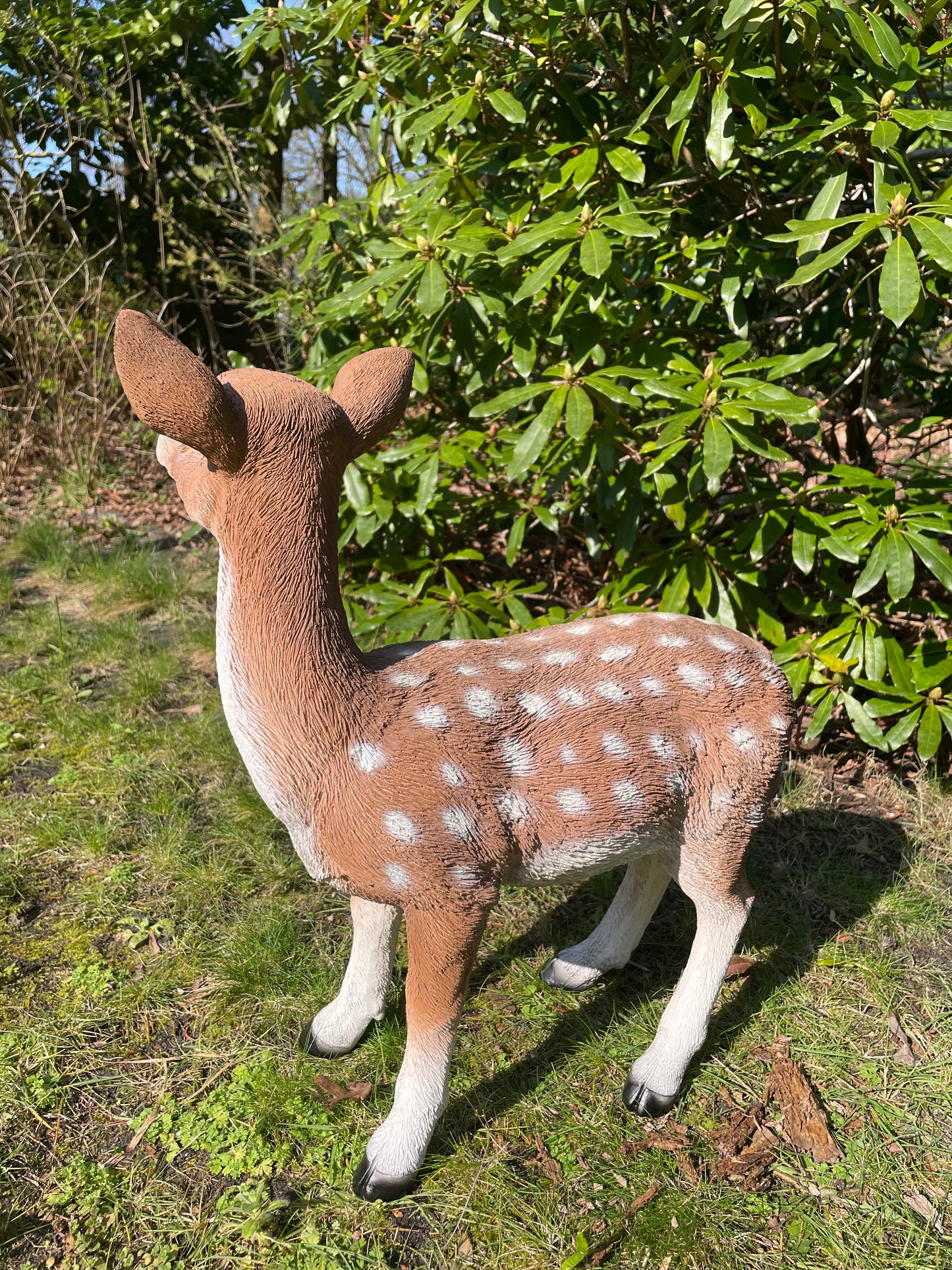 Beeld Hert, tuin, bos, gazon, boerderij 50cm