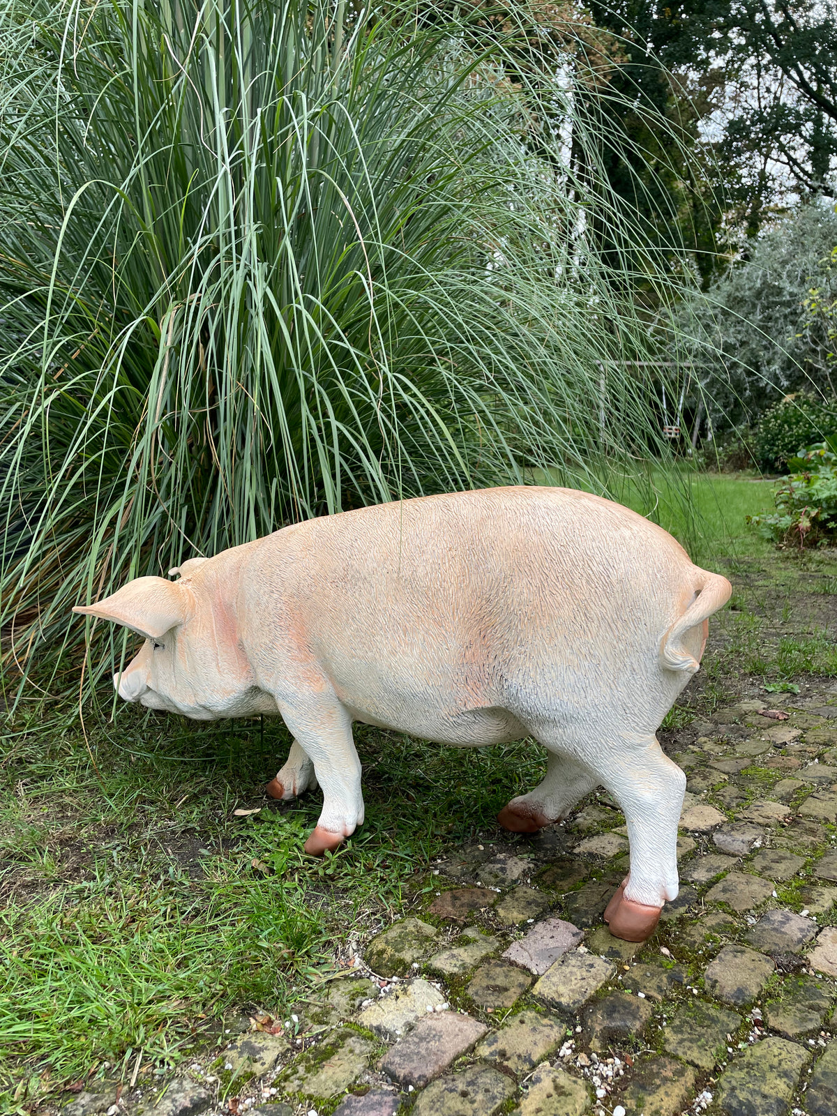 (Tuin)Beeld varken, tuin, gazon, manege, boerderij 85cm