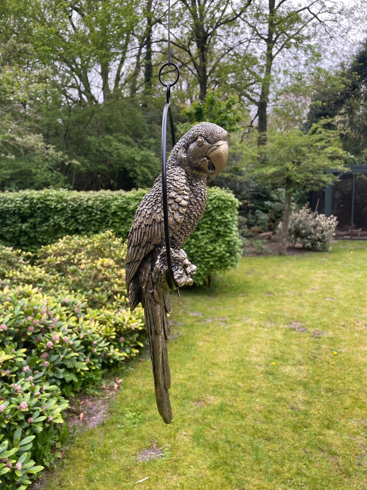 Beeld papegaai Antiek Goud, zwembad, vijver, tuin, balkon 50cm
