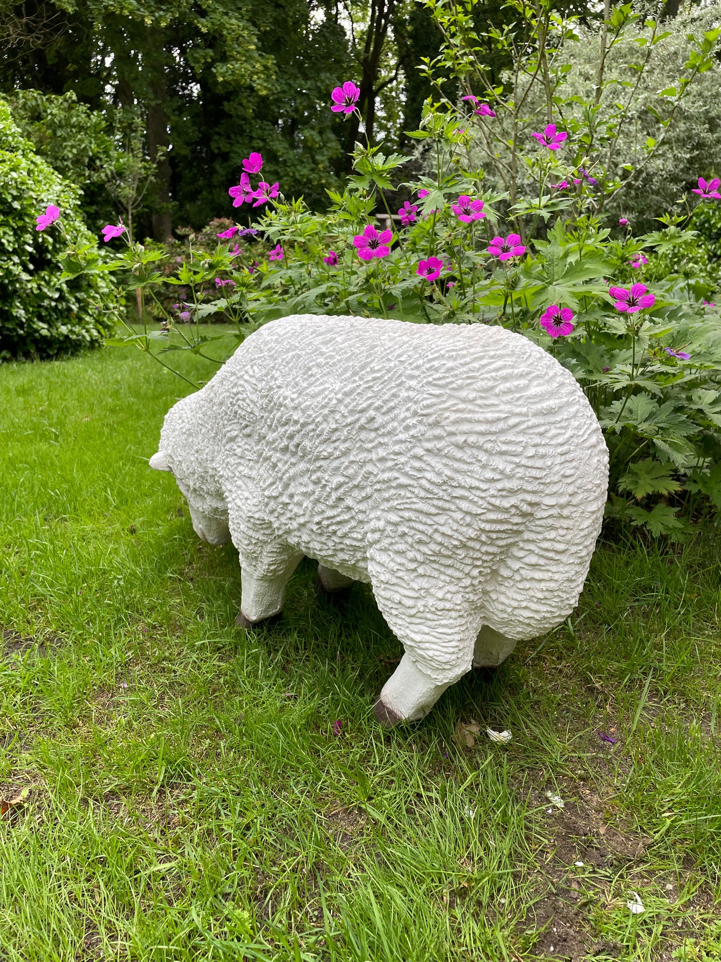 Set Merino wolschapen, gazon, tuin, boerderij 70-65cm