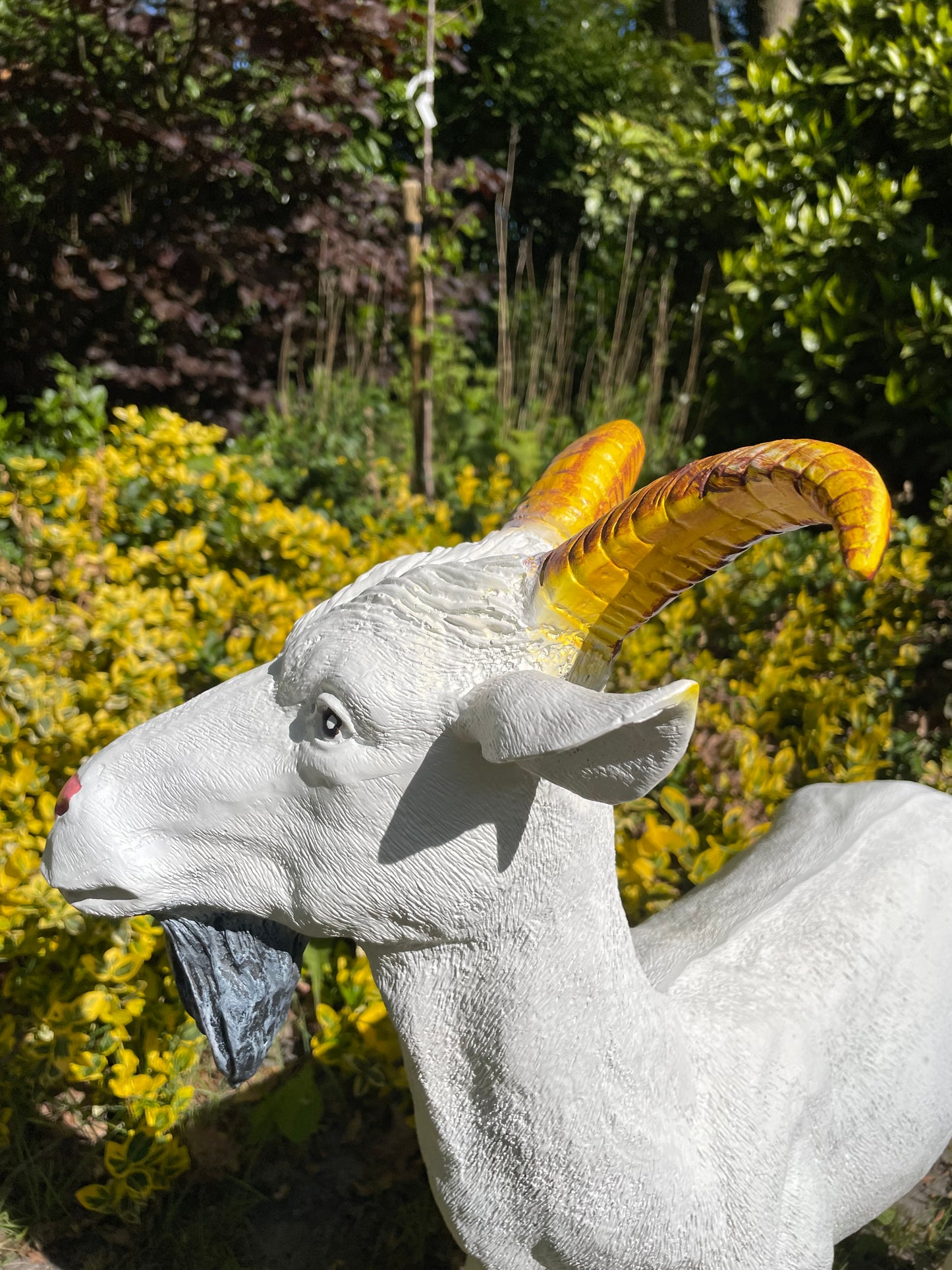 Beeld bok, Geit gele hoorns tuin, gazon, boerderij 65cm