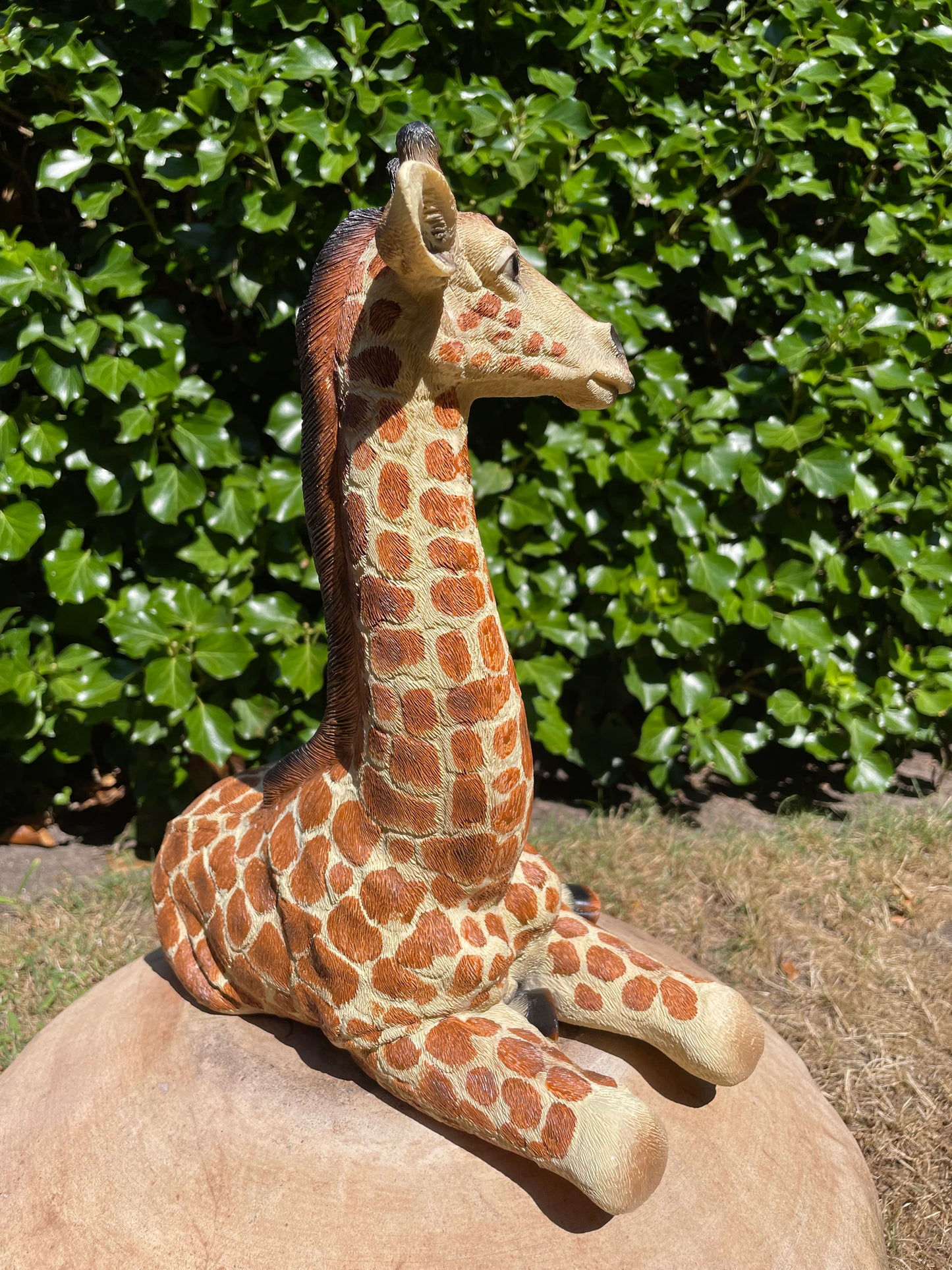 Giraf, liggend, tuin, woonkamer, dierentuin 32cm