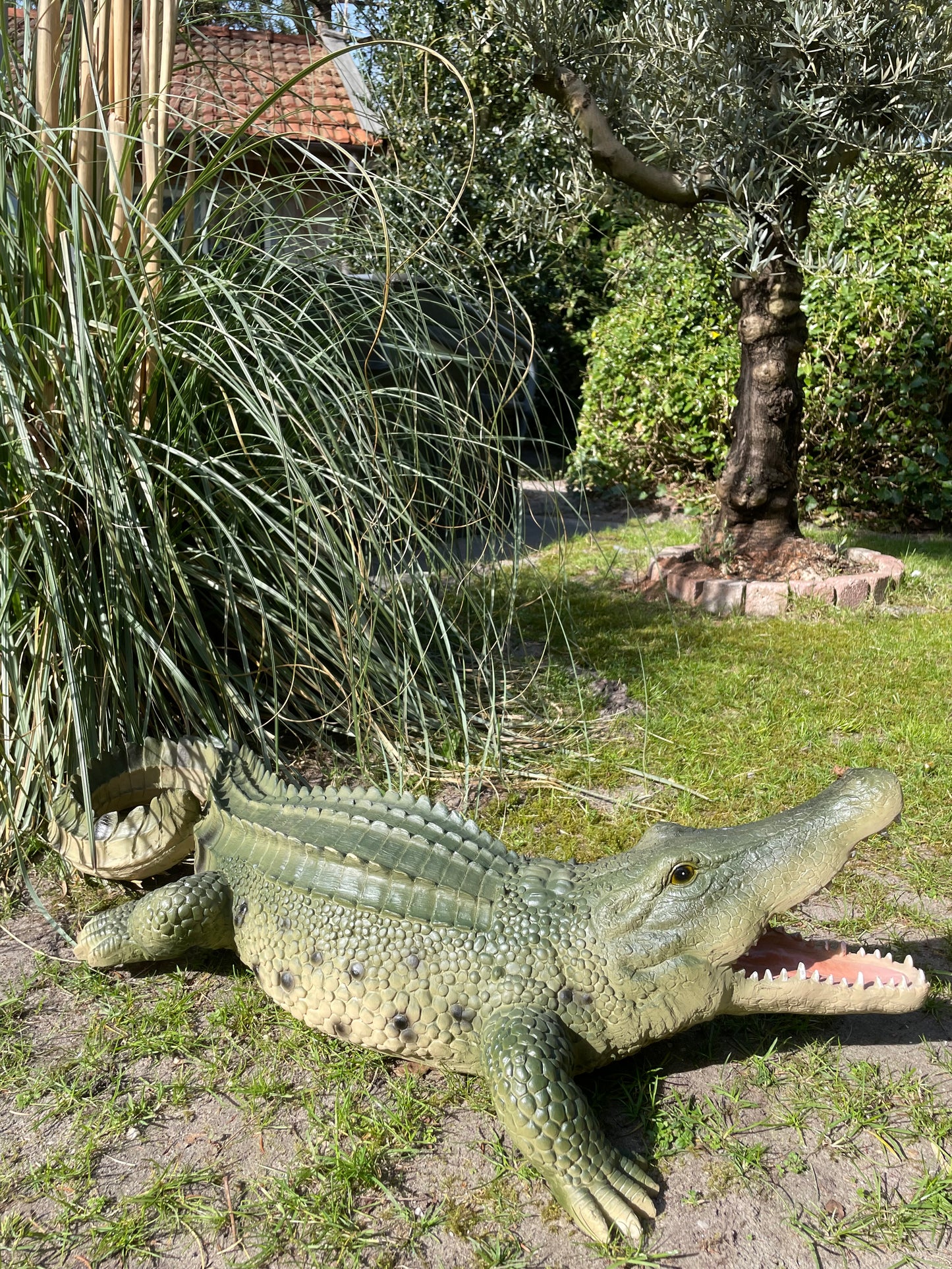 Beeld krokodil, Groen, zwembad, vijver, boerderij 100cm
