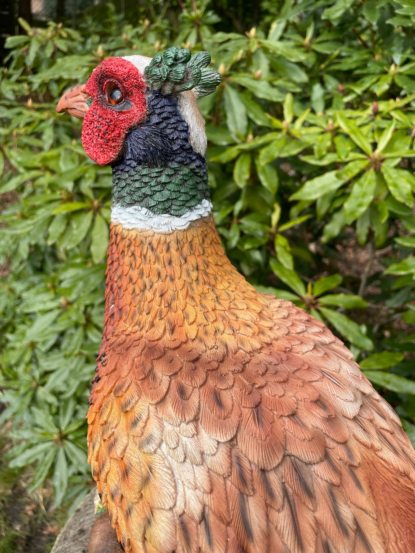Beeld fazant, tuin, vijver, gazon, boerderij 80cm
