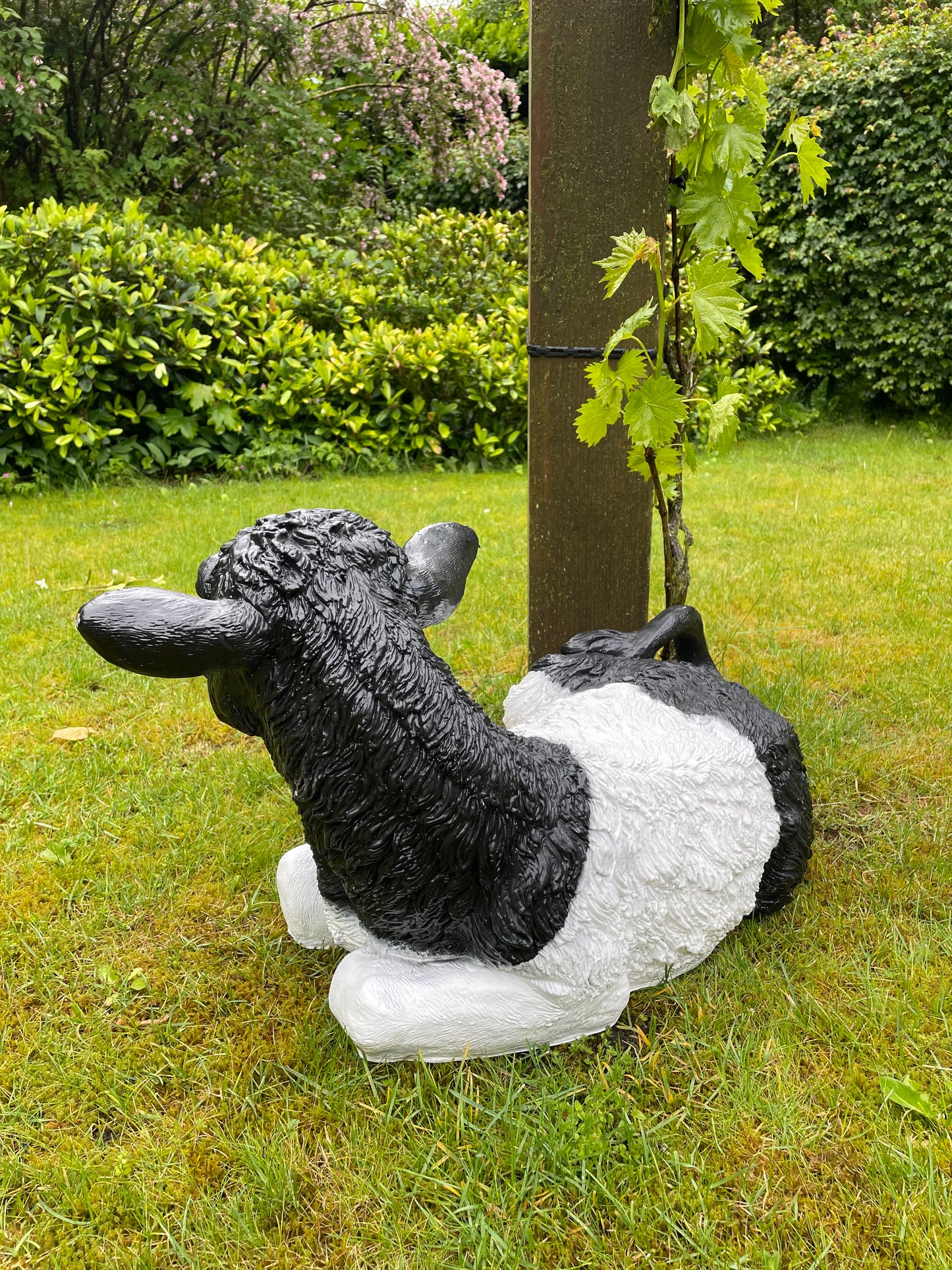 Koe kalf tuin, vijver, boerderij, dierentuin 75cm
