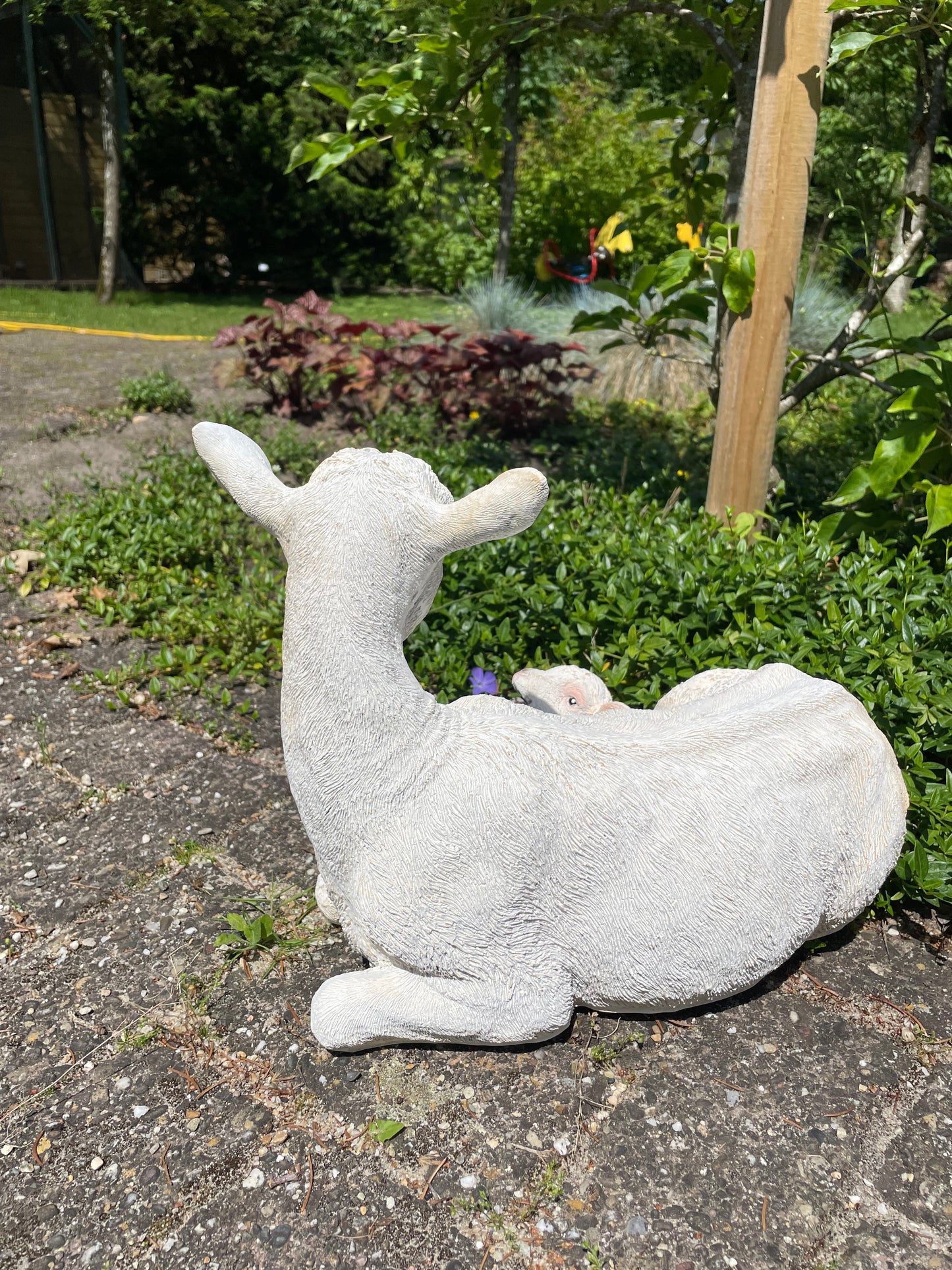 Geit wit liggend lammetje tuin, gazon, boerderij 40cm