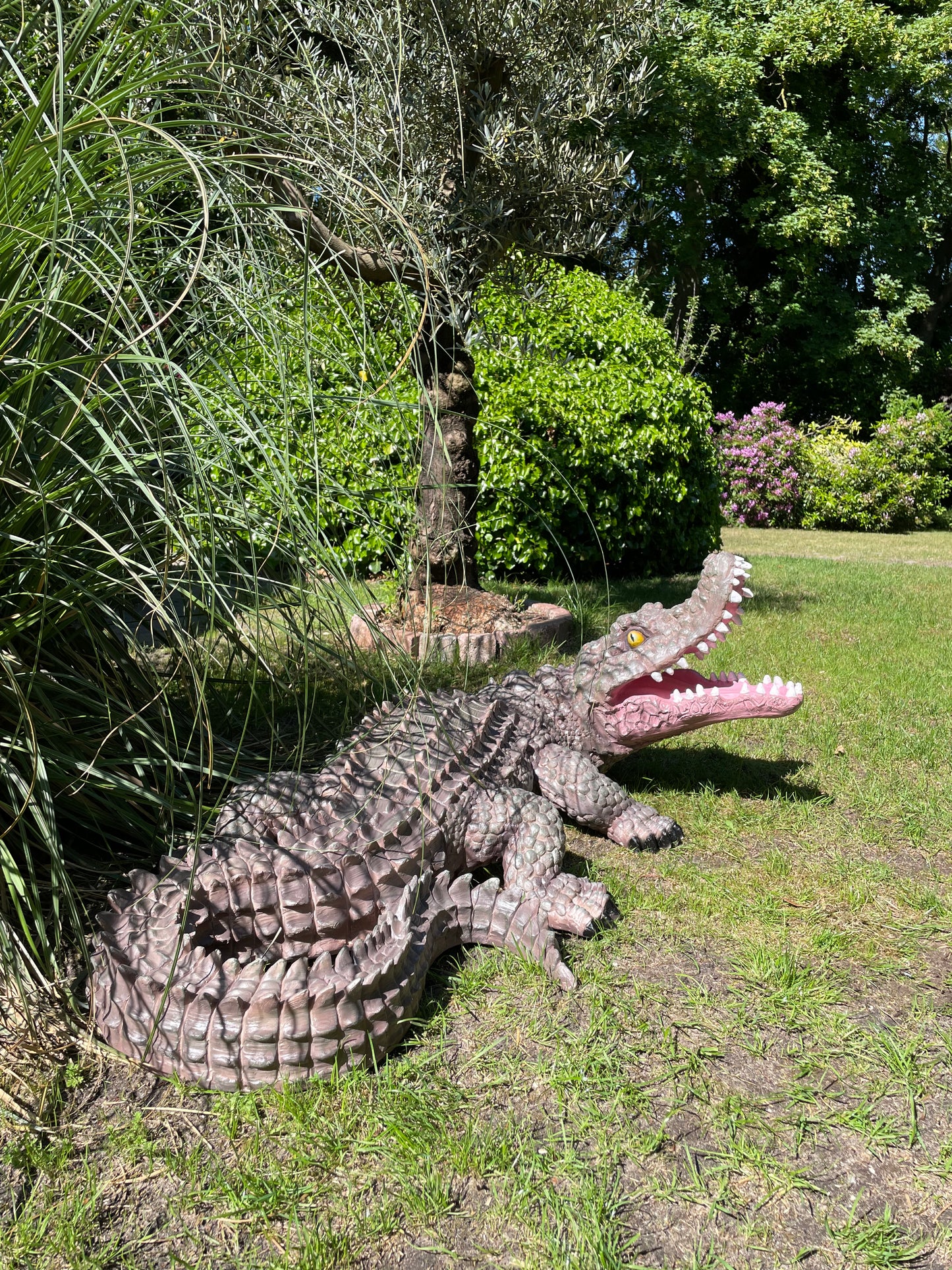 Beeld krokodil, grijs groen zwembad, vijver, boerderij 125cm