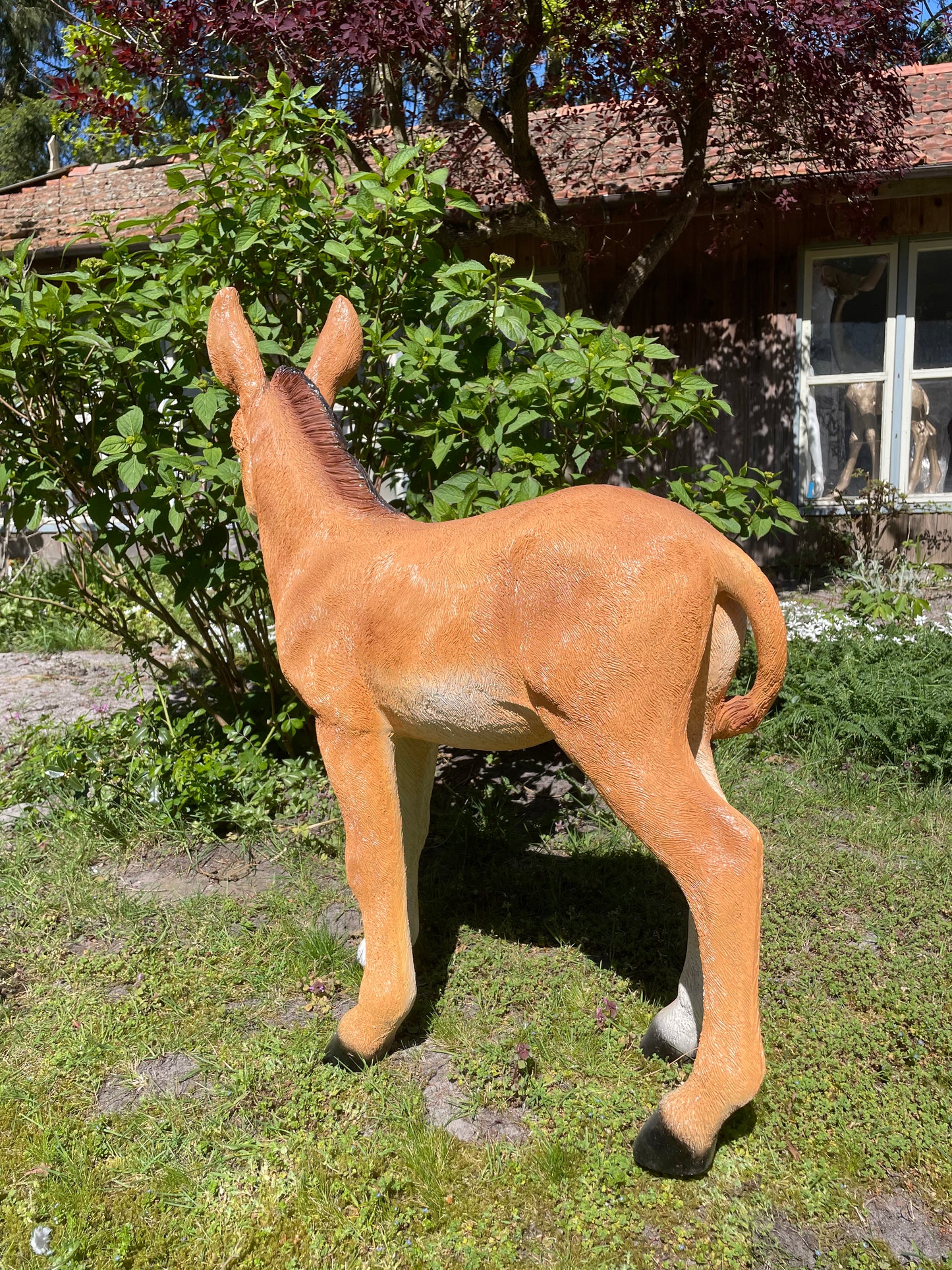 Ezel bruin, tuin, boerderij, vijver, dierentuin 100cm