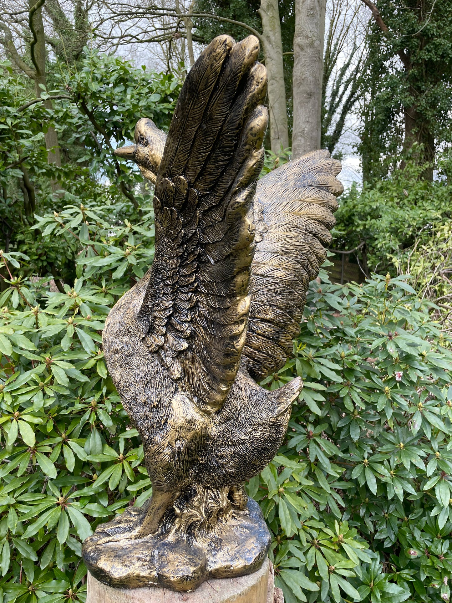 (Tuin)Beeld Gans, tuin, zwembad, vijver, gazon 80cm