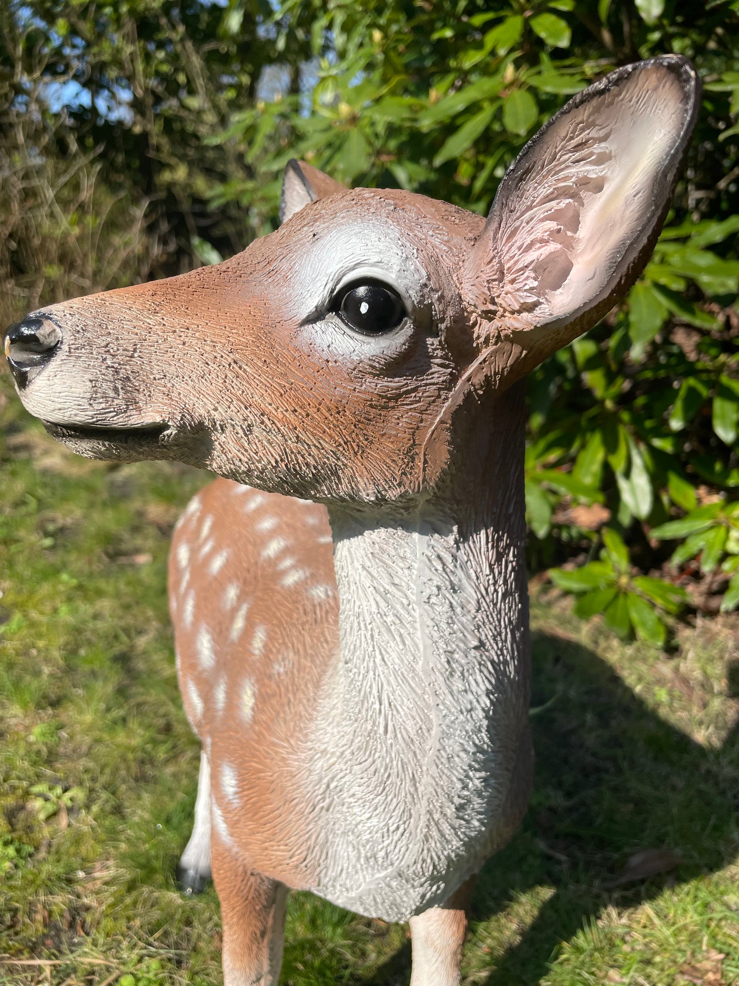 Beeld Hert, tuin, bos, gazon, boerderij 50cm