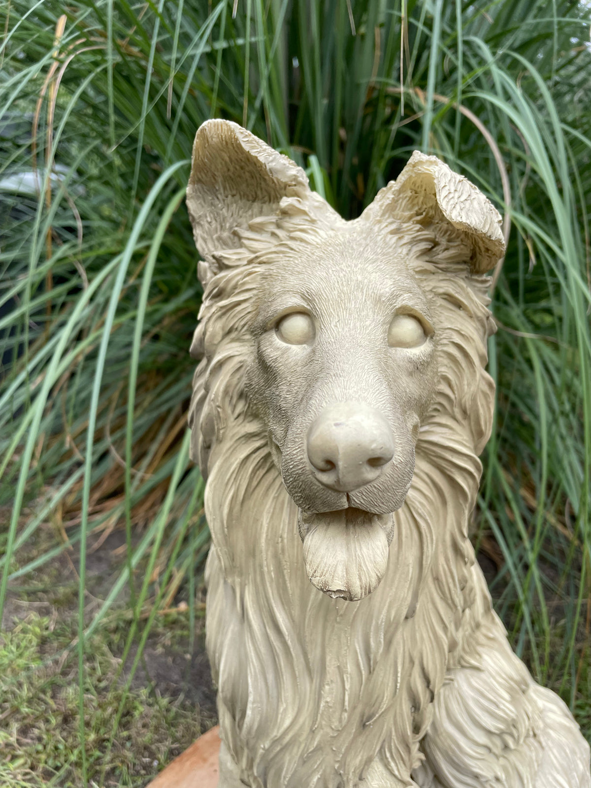 Collie Lassie hond 45cm