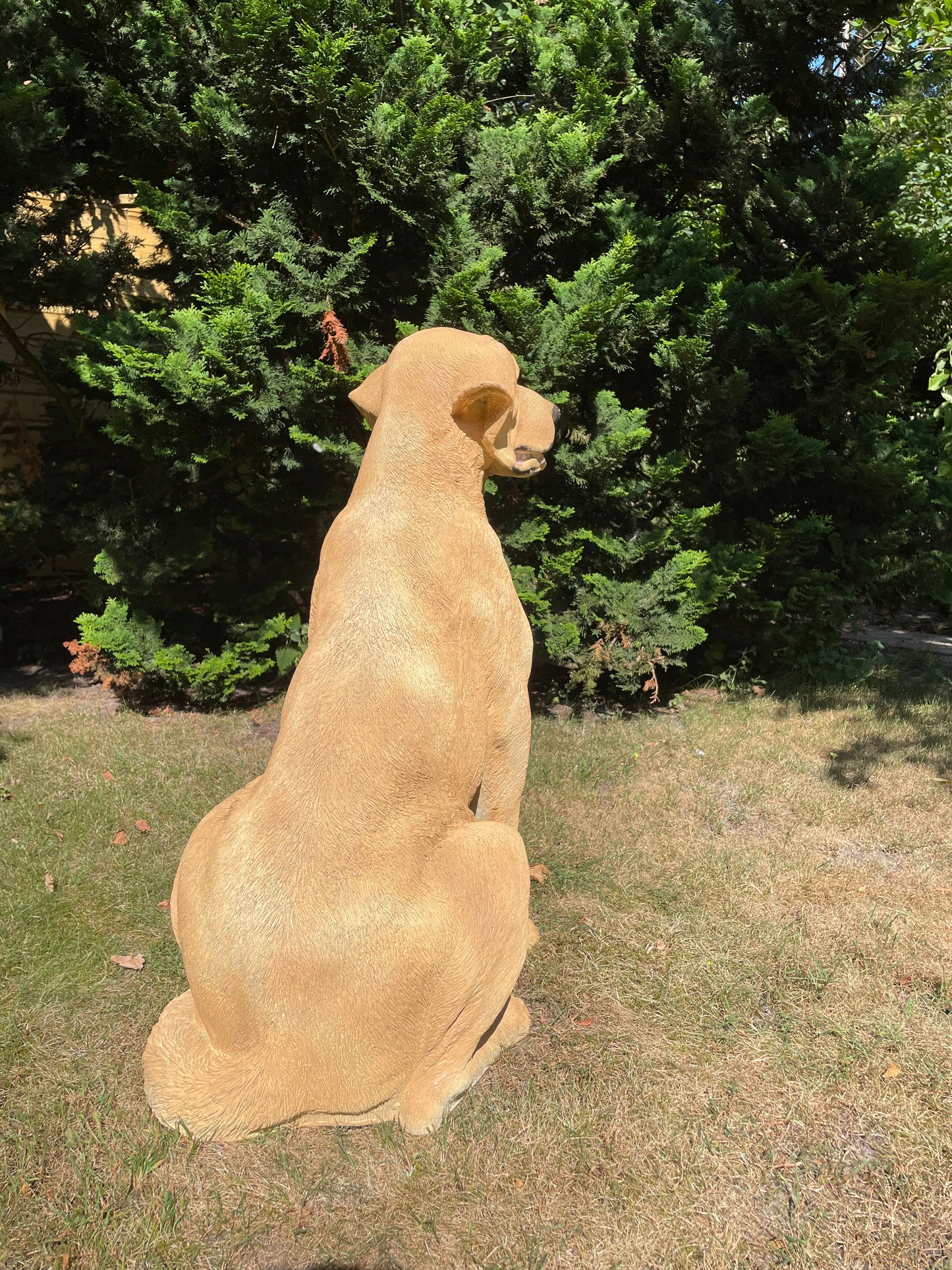 Beeld hond labrador,  Golden Retriever licht goud 80cm