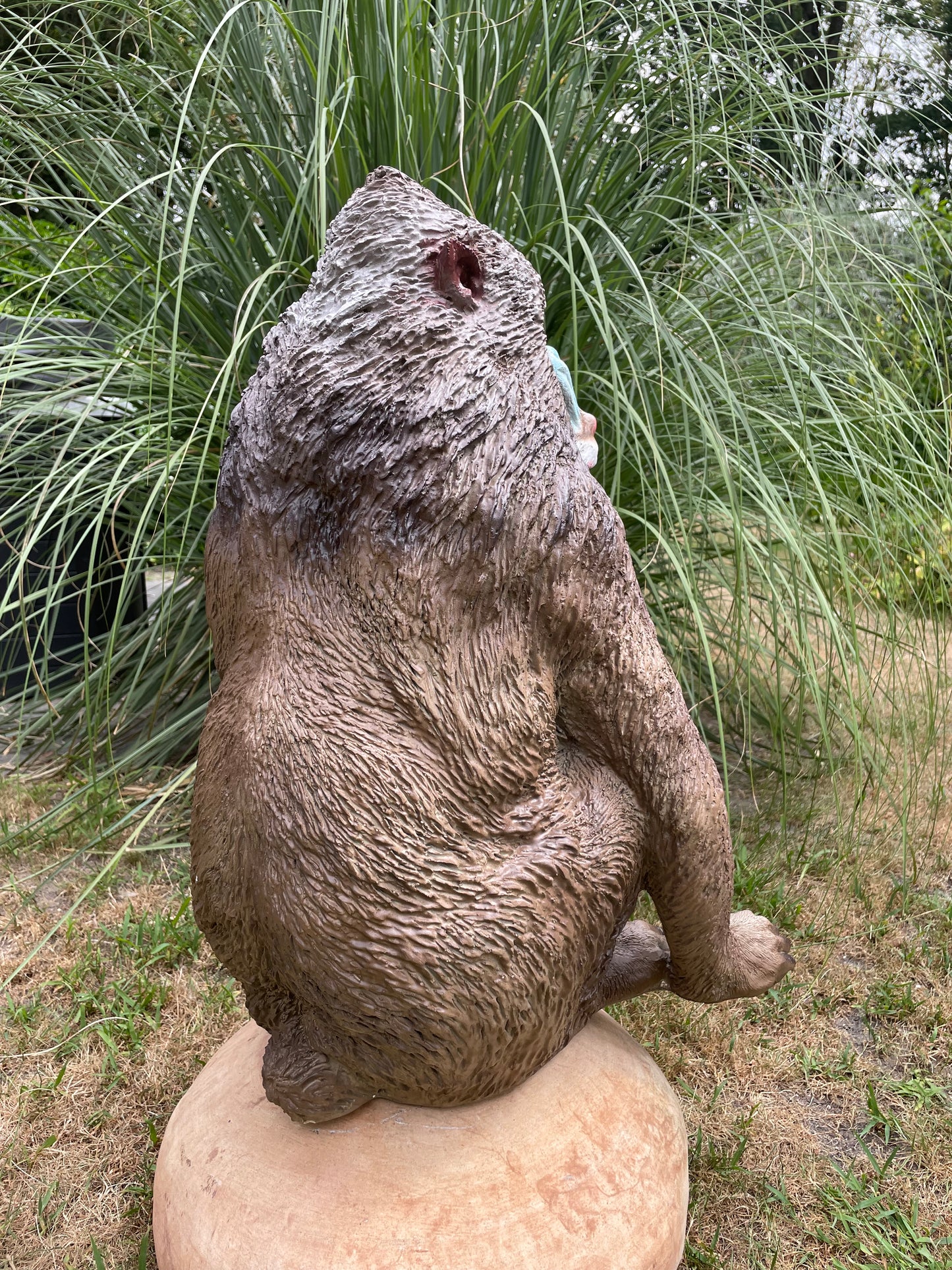 Mandril baviaan aap beeld tuin dierentuin 66cm