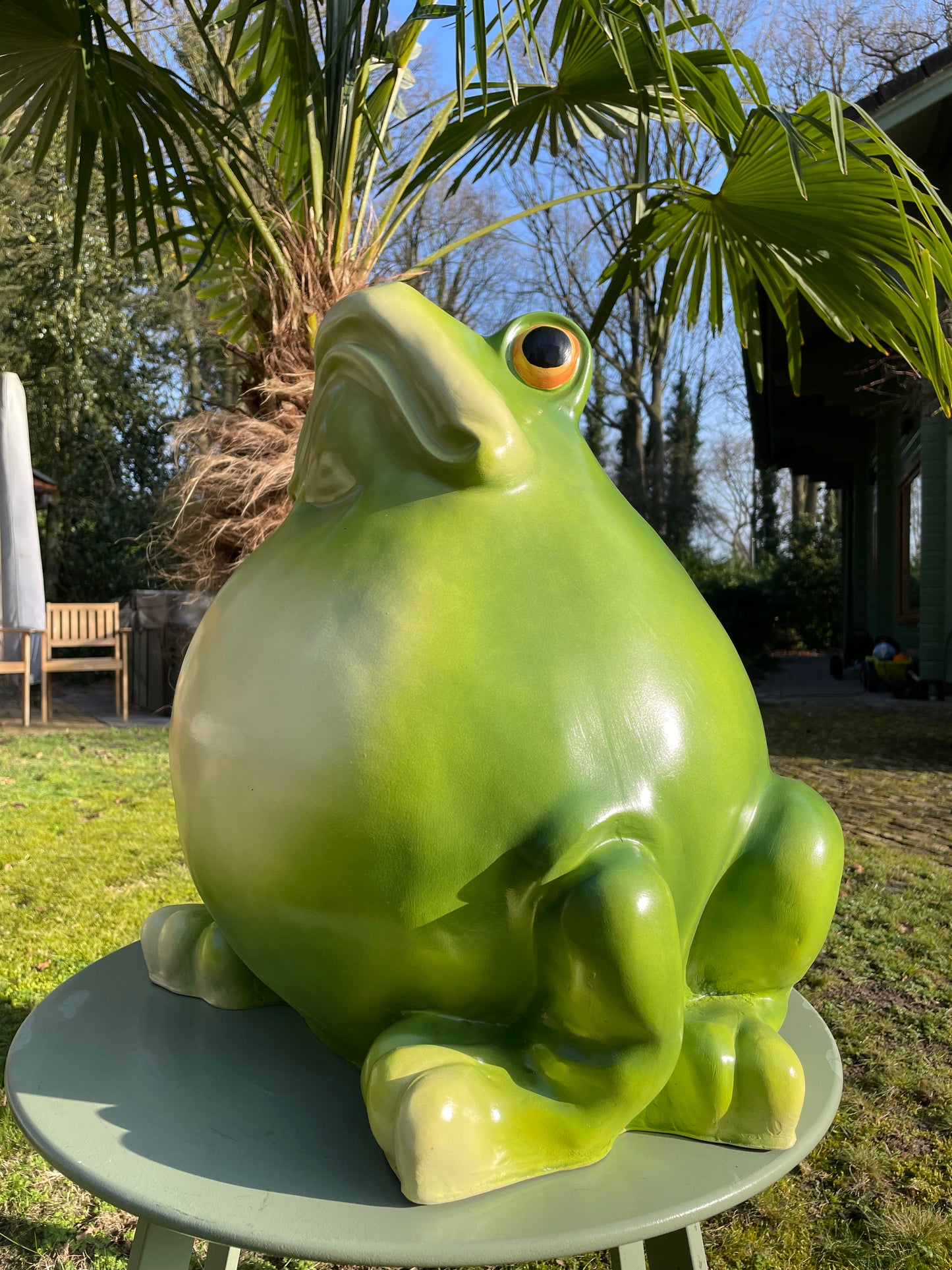 Beeld kikker, tuin, vijver, gazon, boerderij 55cm