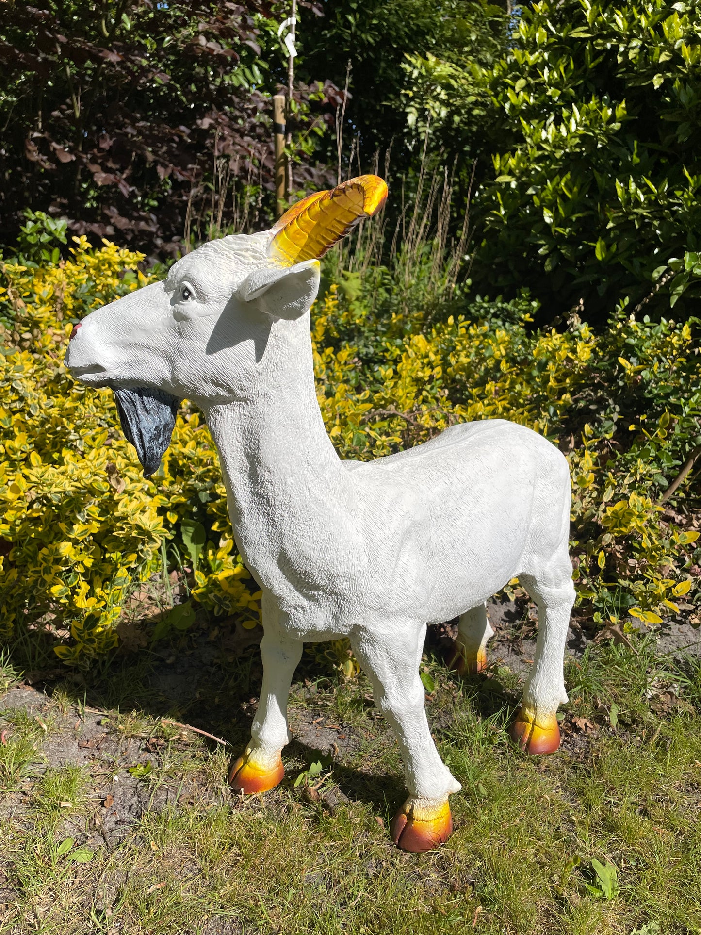 Beeld bok, Geit gele hoorns tuin, gazon, boerderij 65cm