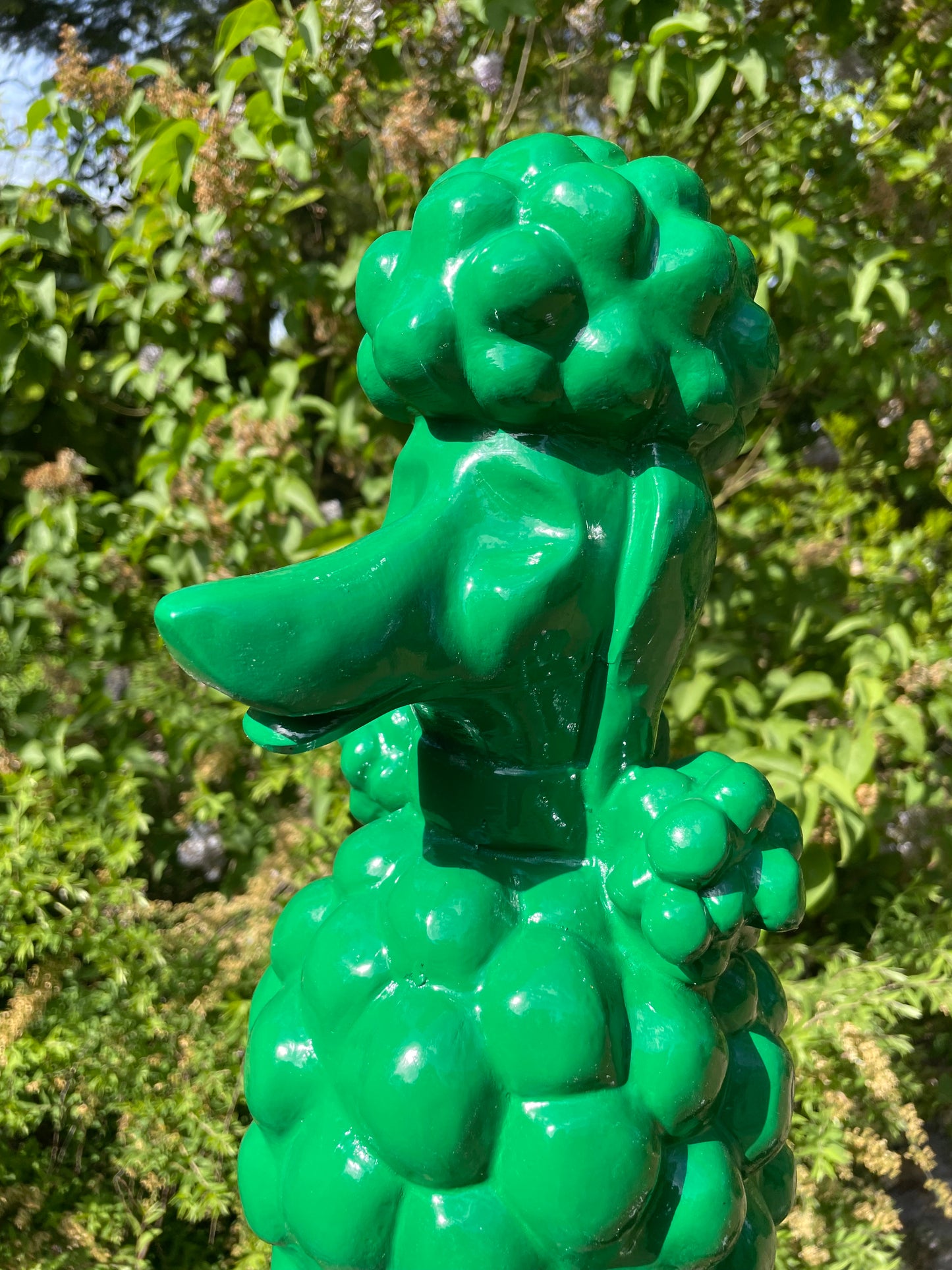 hond poedel abstract Groen, tuin, gazon  60cm