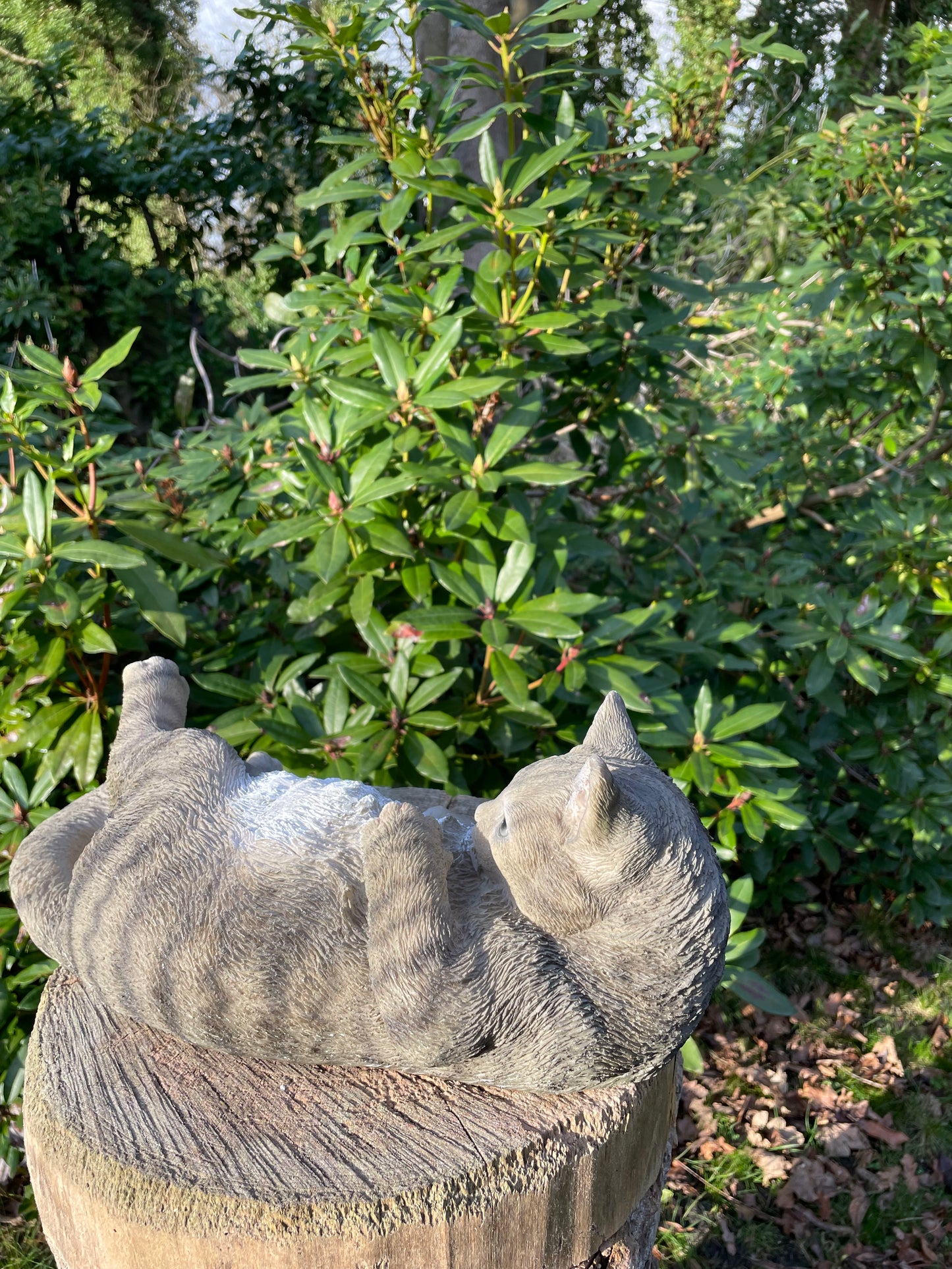 Poes, kat, liggend grijs 40cm
