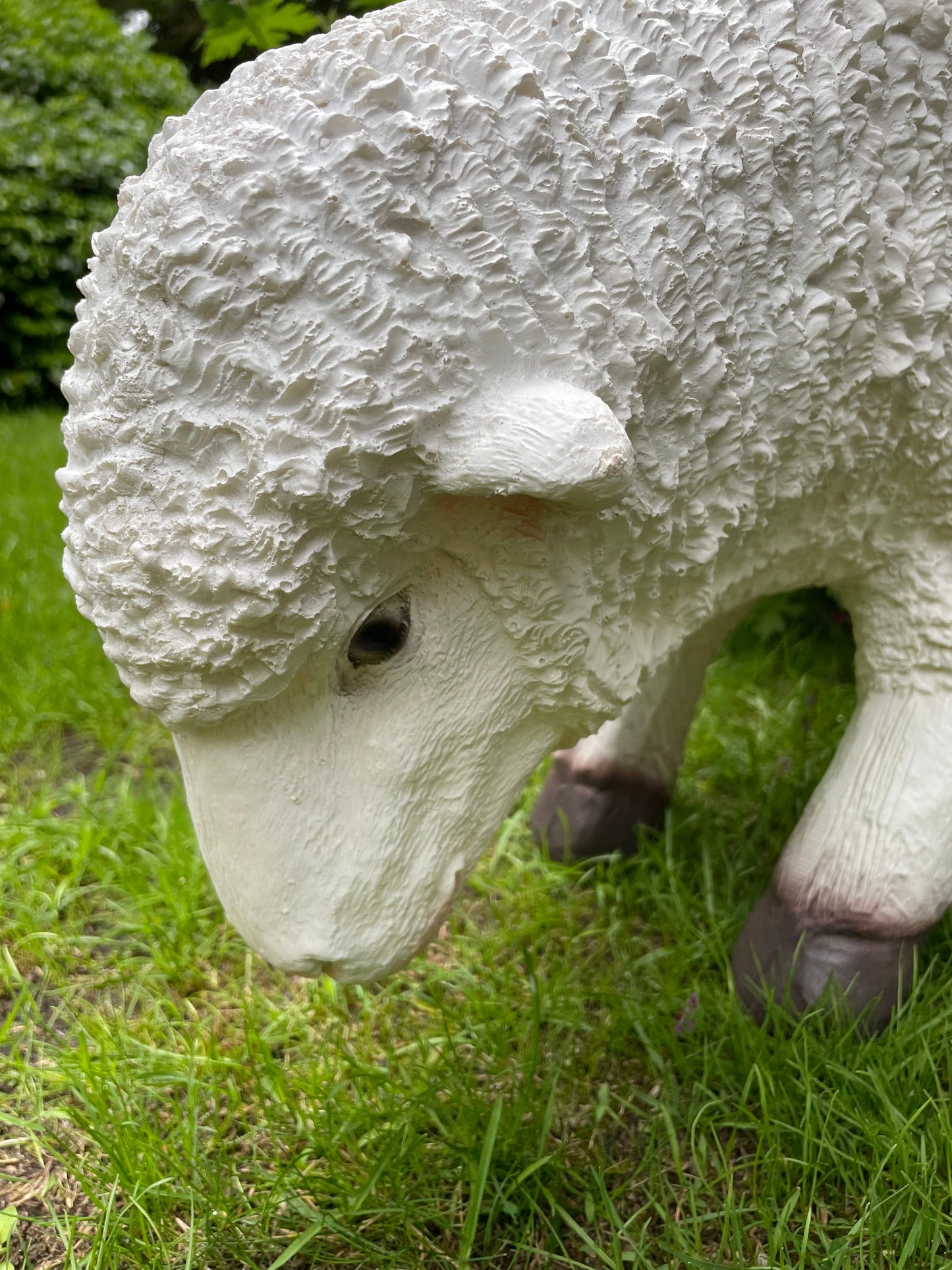 Set Merino wolschapen, gazon, tuin, boerderij 70-65cm
