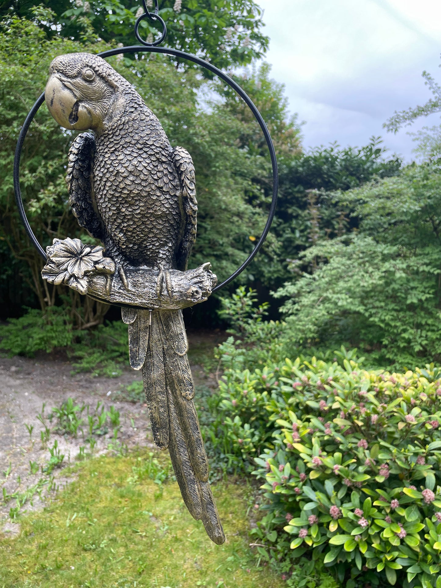 Beeld papegaai Antiek Goud, zwembad, vijver, tuin, balkon 50cm