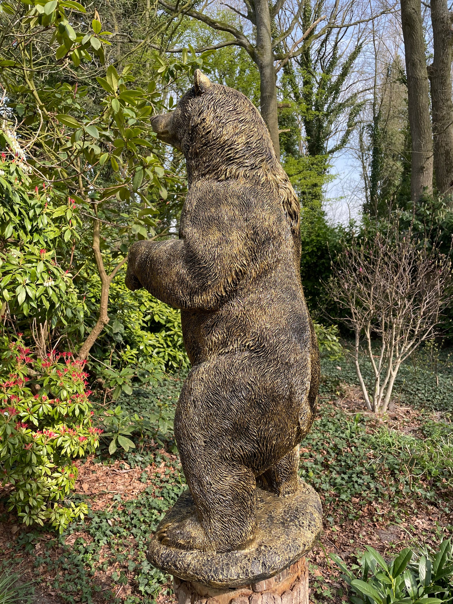Beeld Beer, Antiek goud, tuin, gazon, manege, 120cm