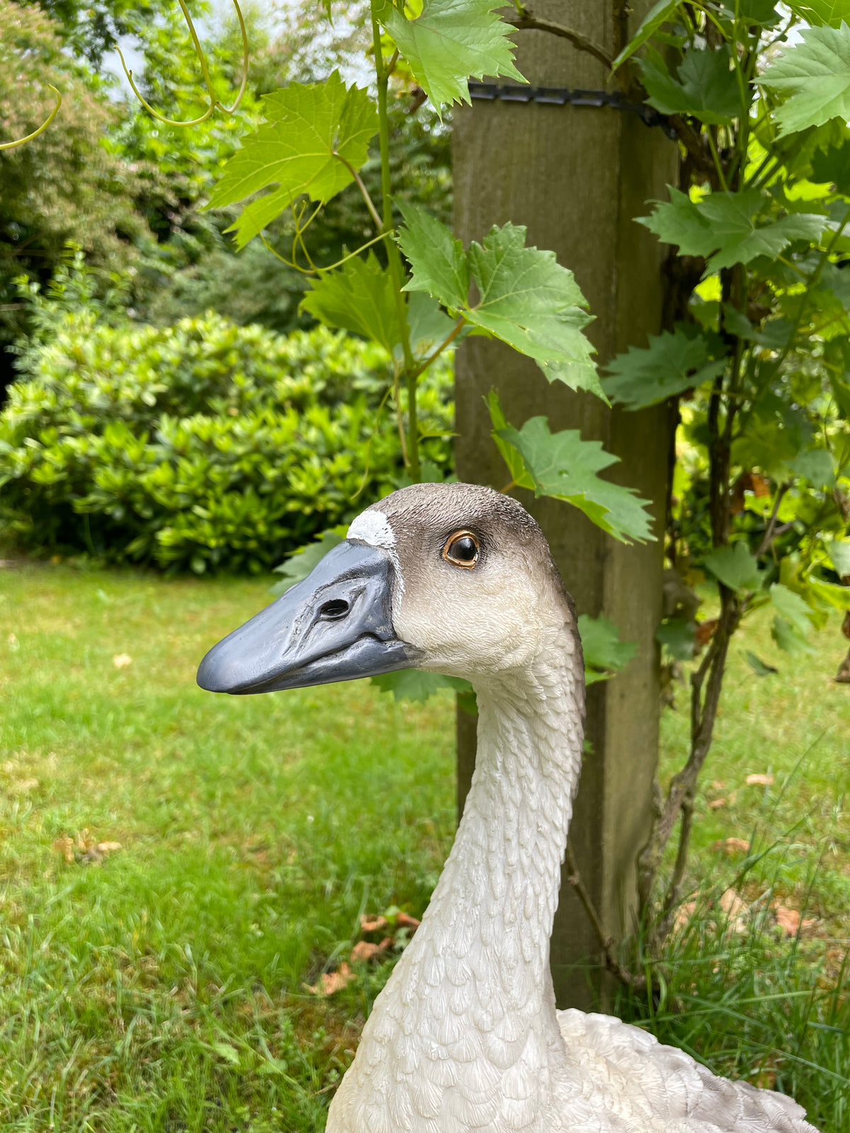 Beeld Gans bruin-grijs-wit, tuin, zwembad, vijver, boerderij 60cm