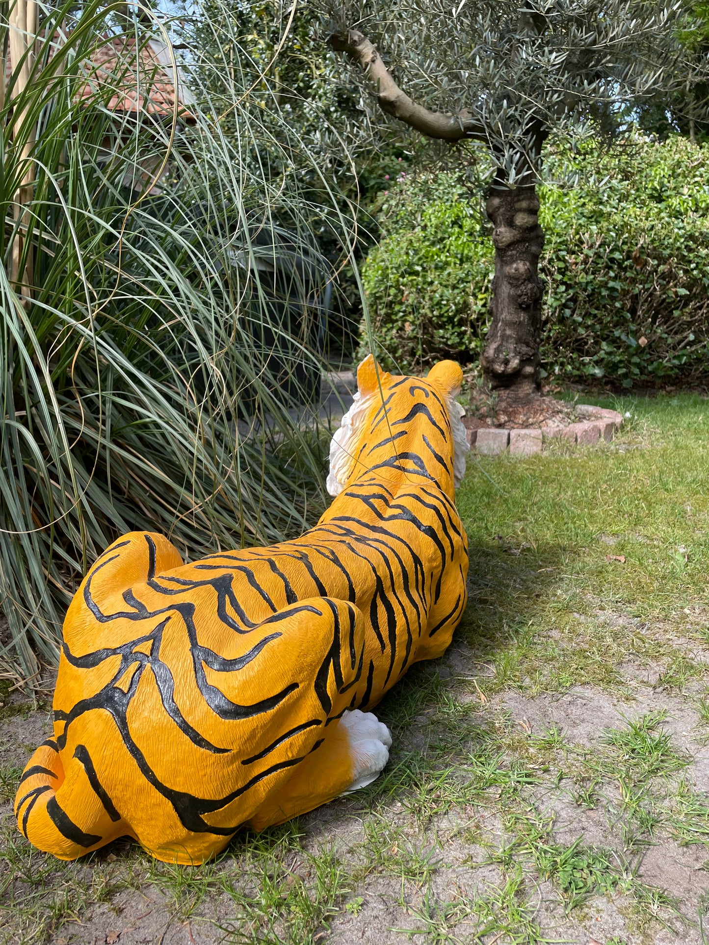 Beeld tijger tuin, gazon, dierentuin, boerderij 85cm