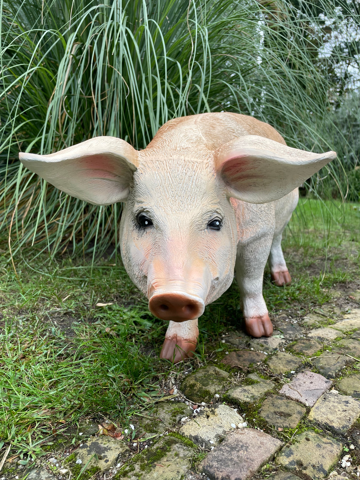 (Tuin)Beeld varken, tuin, gazon, manege, boerderij 85cm