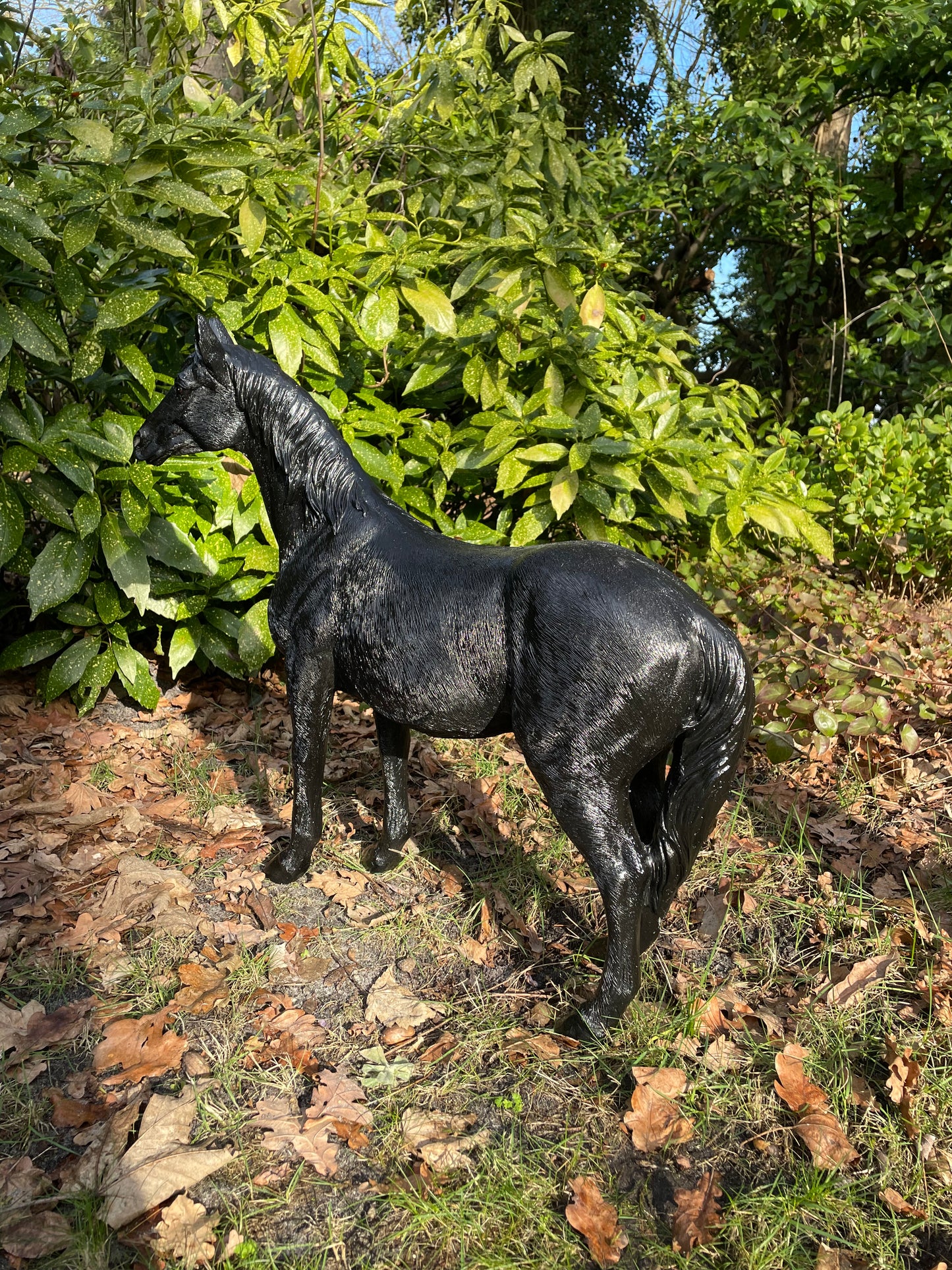 Paard, pony, veulen manege tuin paardrijden 70cm