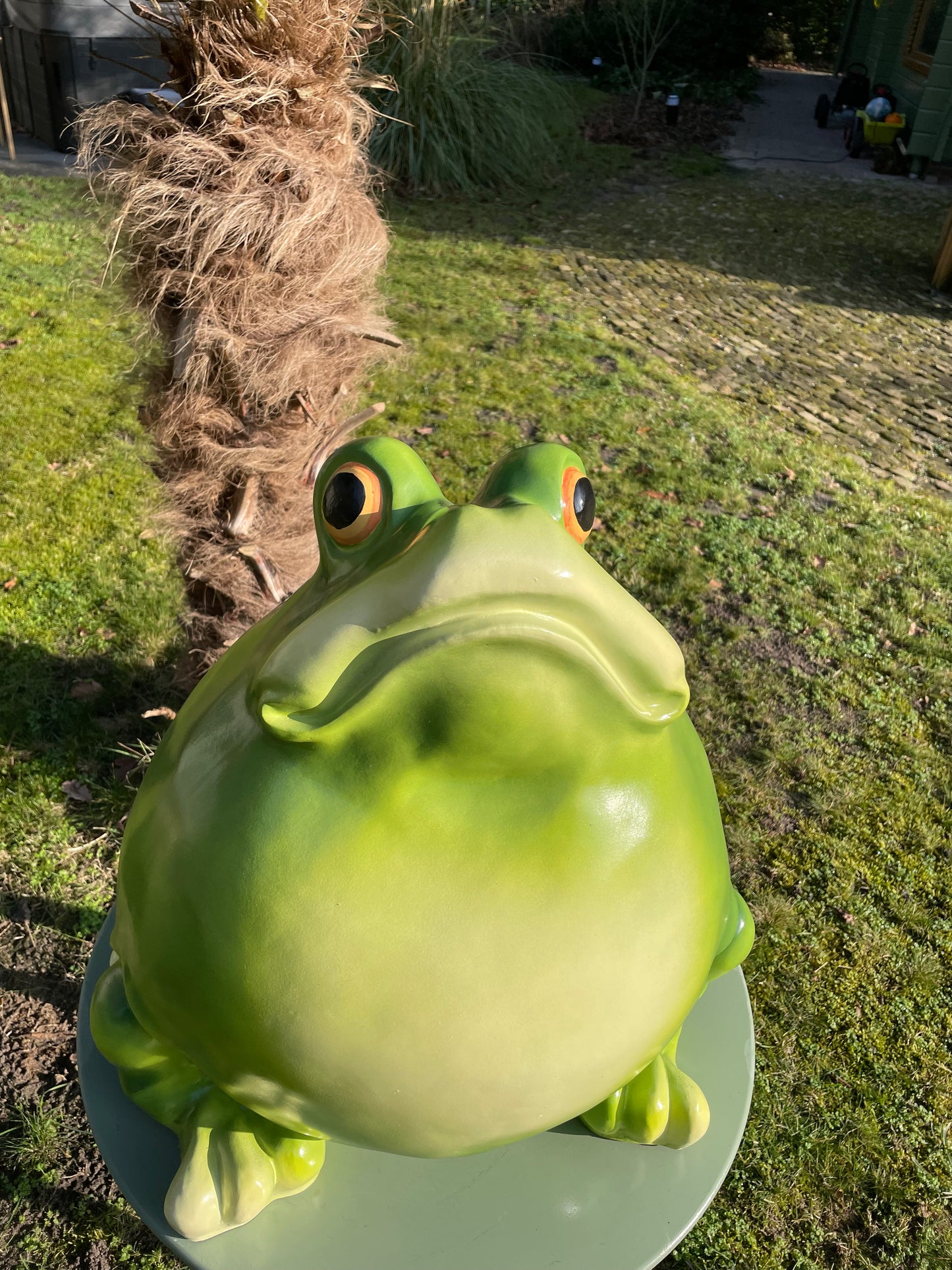 Beeld kikker, tuin, vijver, gazon, boerderij 55cm