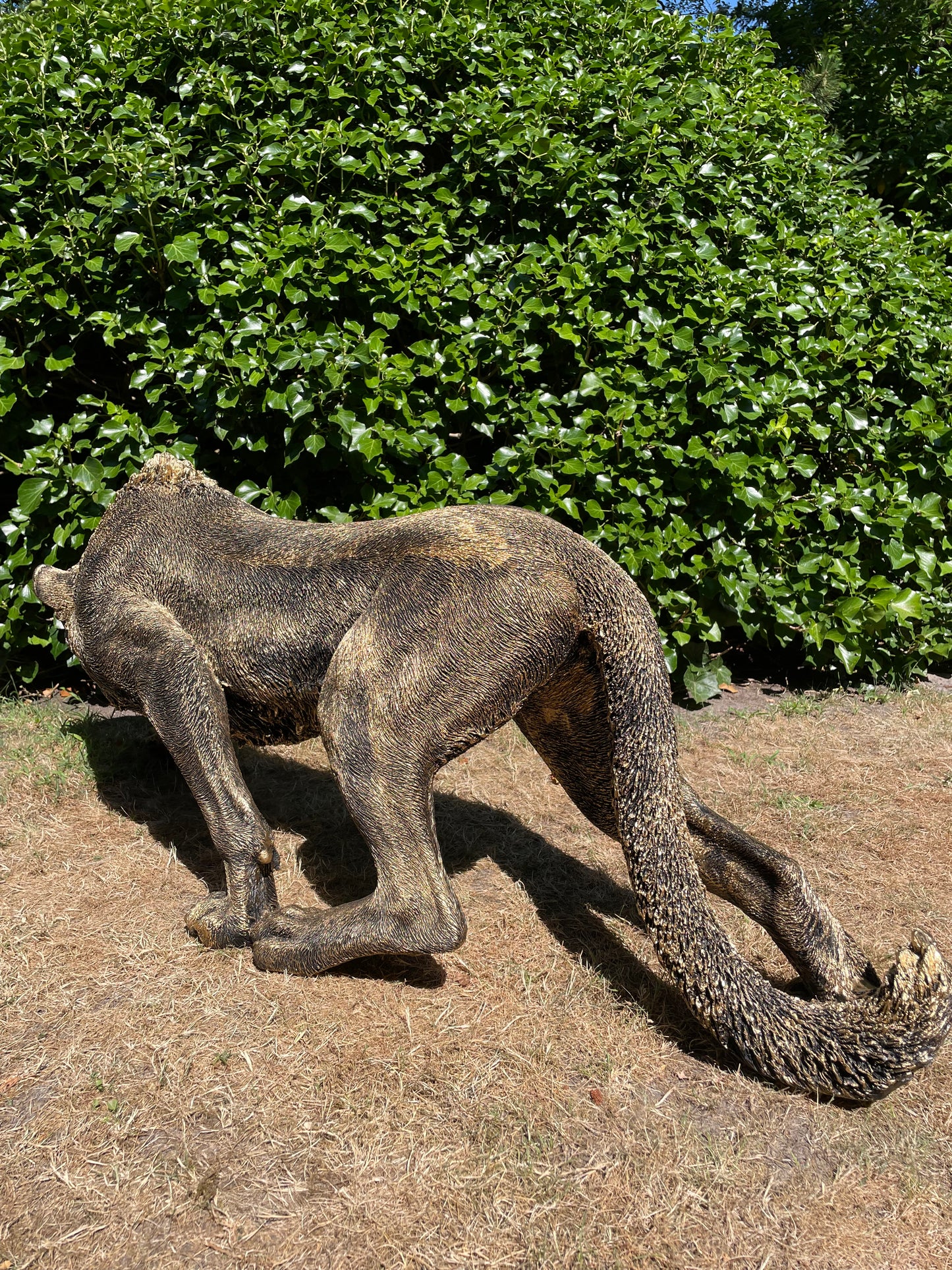 Panter sluipend antiek goud gazon, tuin, dierentuin, 125 cm