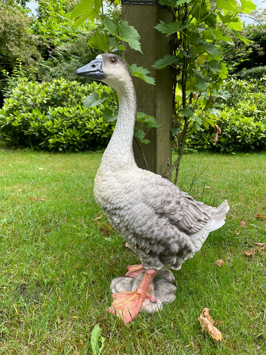 Beeld Gans bruin-grijs-wit, tuin, zwembad, vijver, boerderij 60cm