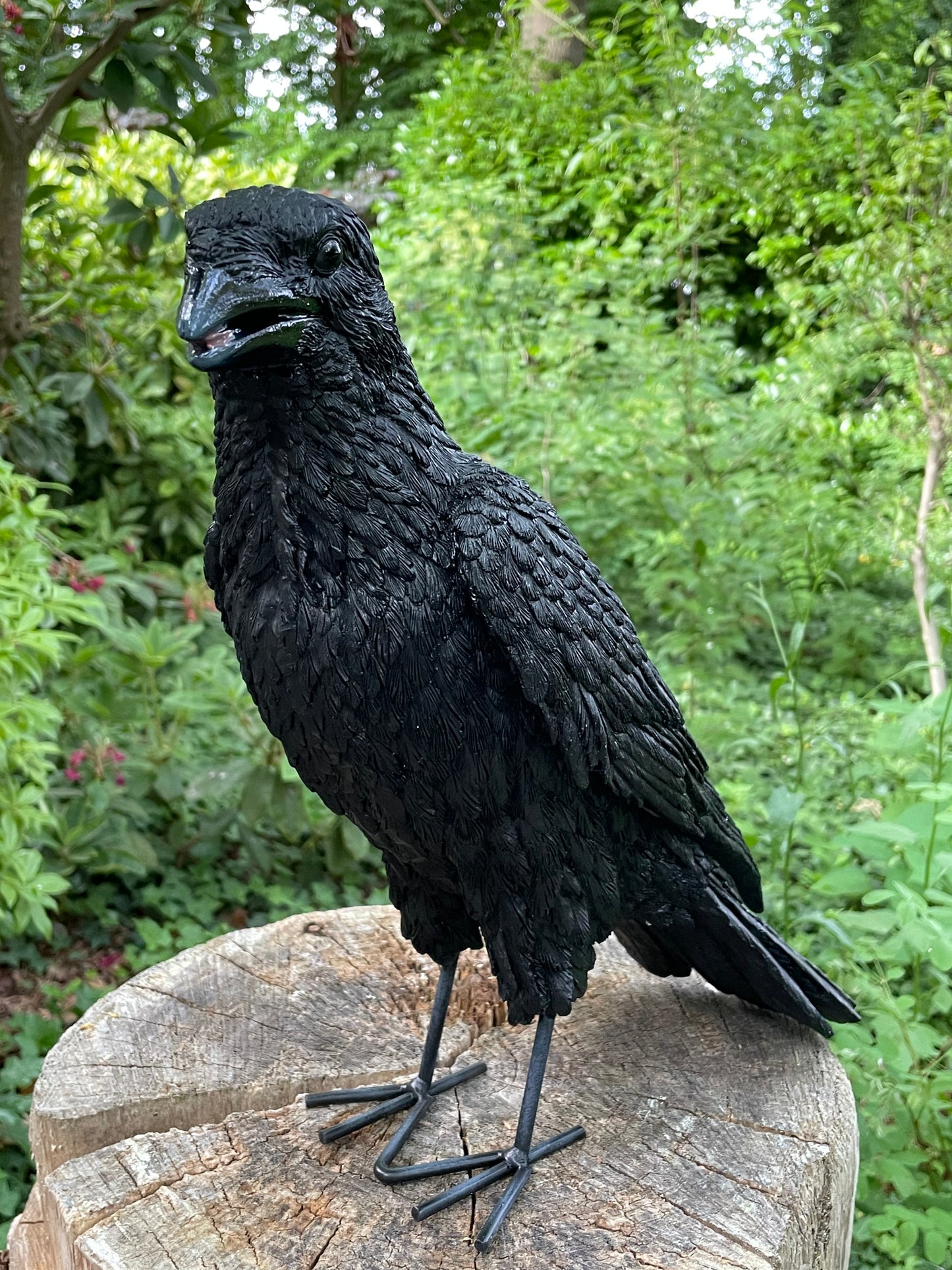 Kraai, Raaf, gazon, tuin, boerderij 35cm
