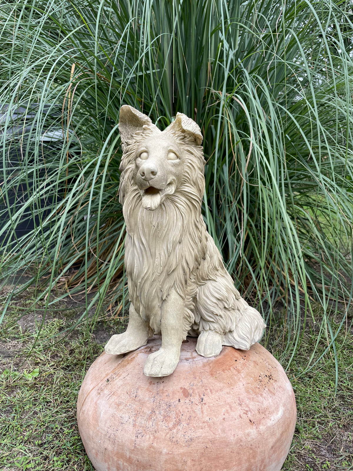 Collie Lassie hond 45cm
