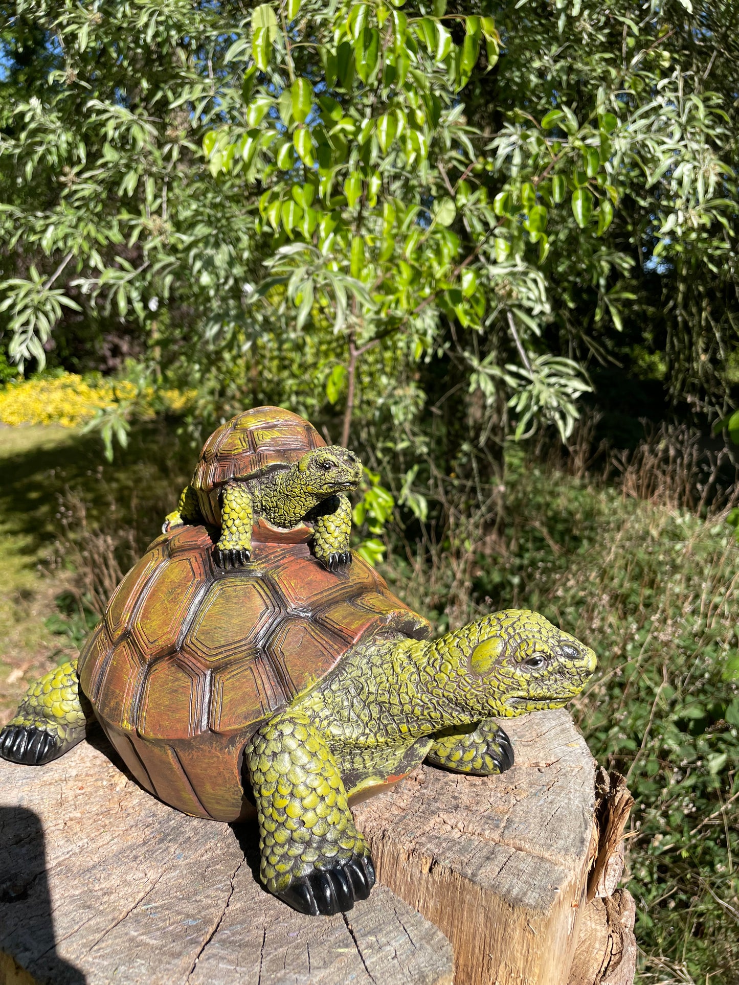 Baby schildpad, gazon, tuin, vijver, 30 cm