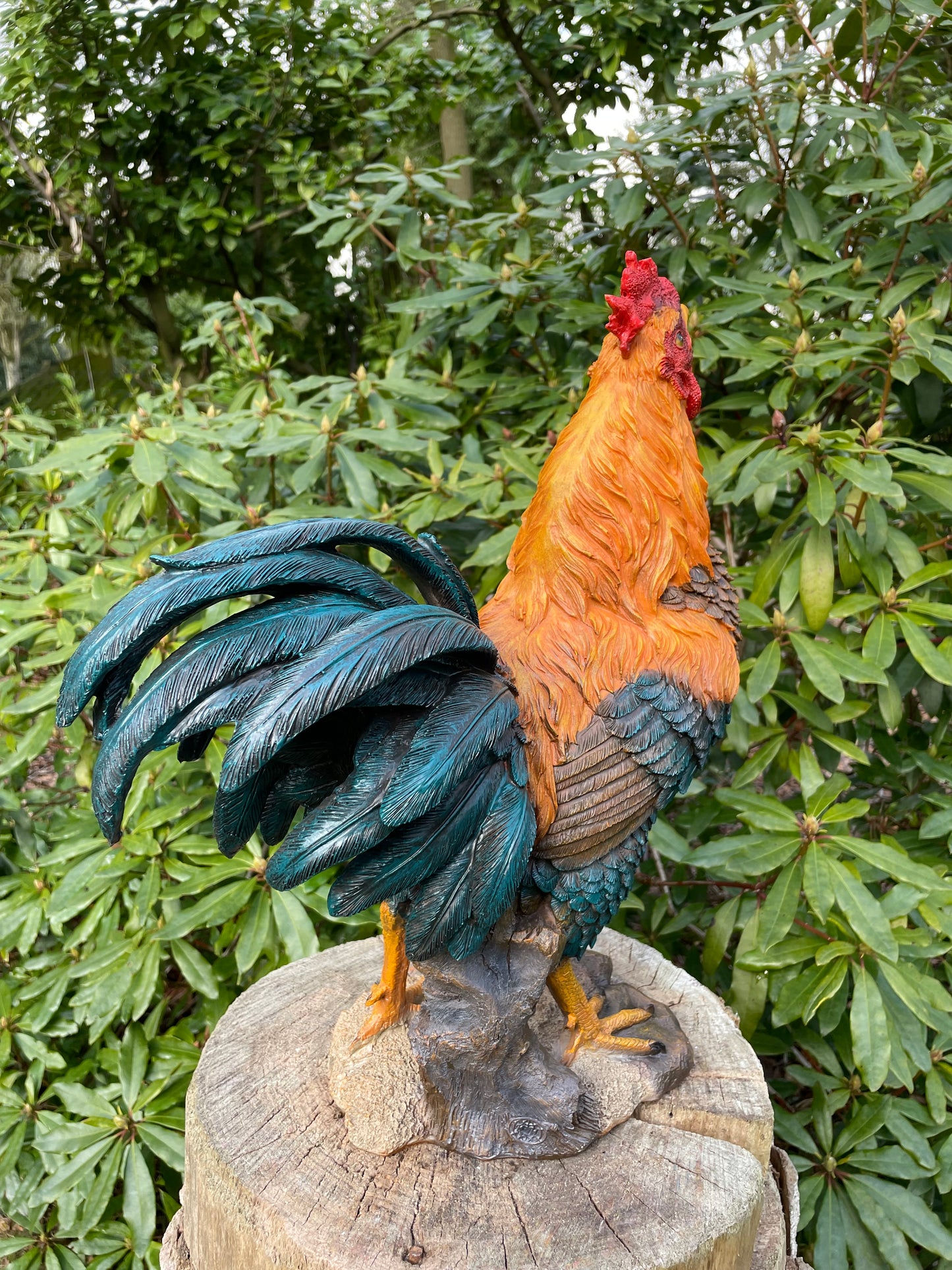 Beeld Haan, tuin, vijver, gazon, boerderij 50cm