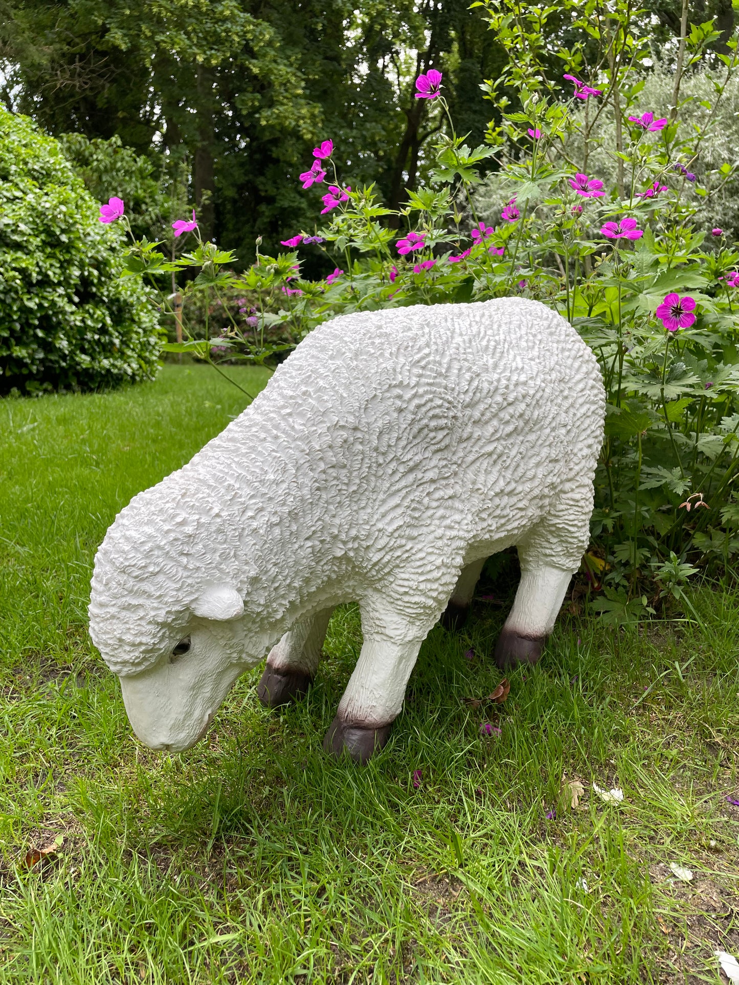 Set Merino wolschapen, gazon, tuin, boerderij 70-65cm