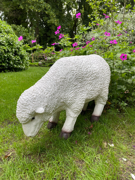 (tuin)beeld Merino wolschaap, gazon, tuin, boerderij 70cm