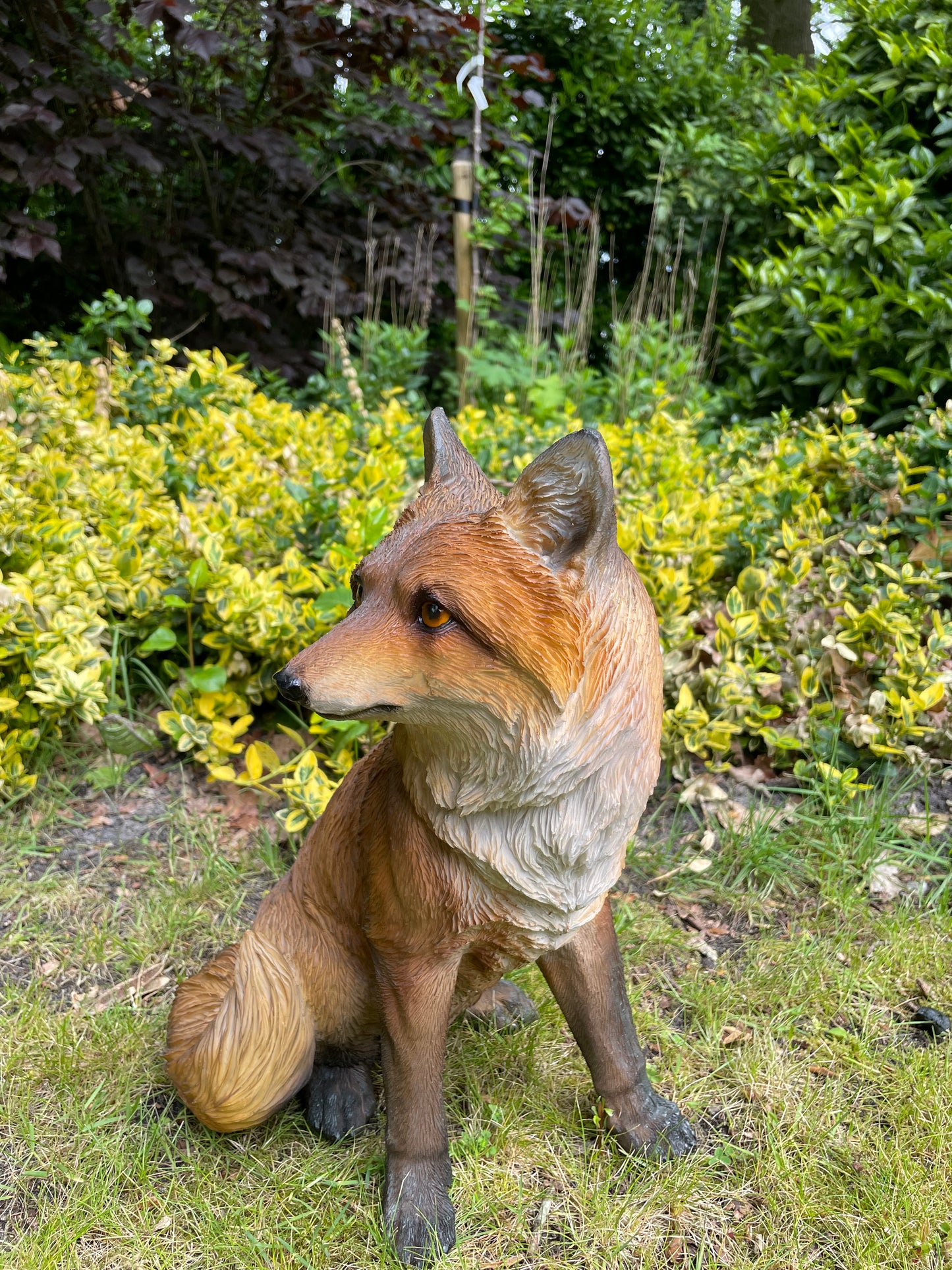 Tuinbeeld vos zittend gazon, tuin, dierentuin, 35 cm