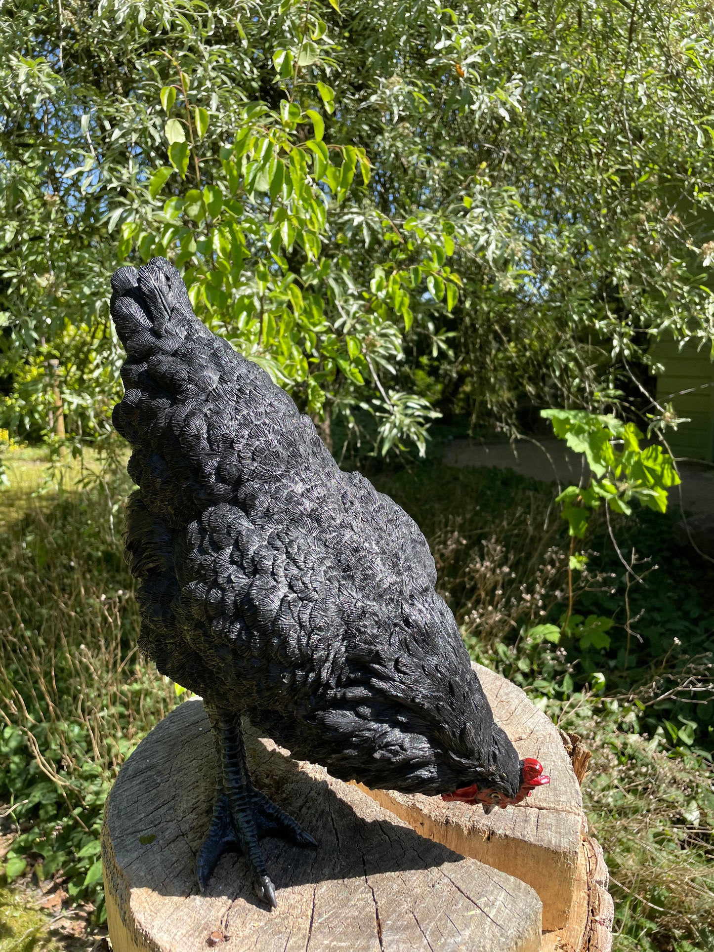 Beeld kip, zwart, tuin, vijver, gazon, boerderij 35cm