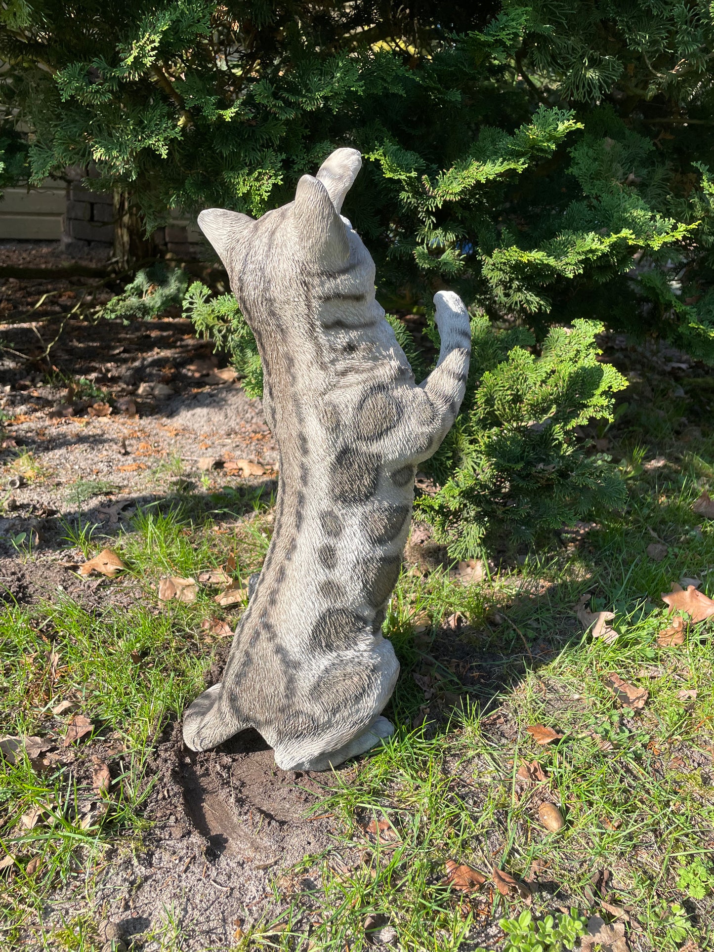 (Tuin)Beeld Poes, kat, tuin, gazon, kitten, boerderij 50cm