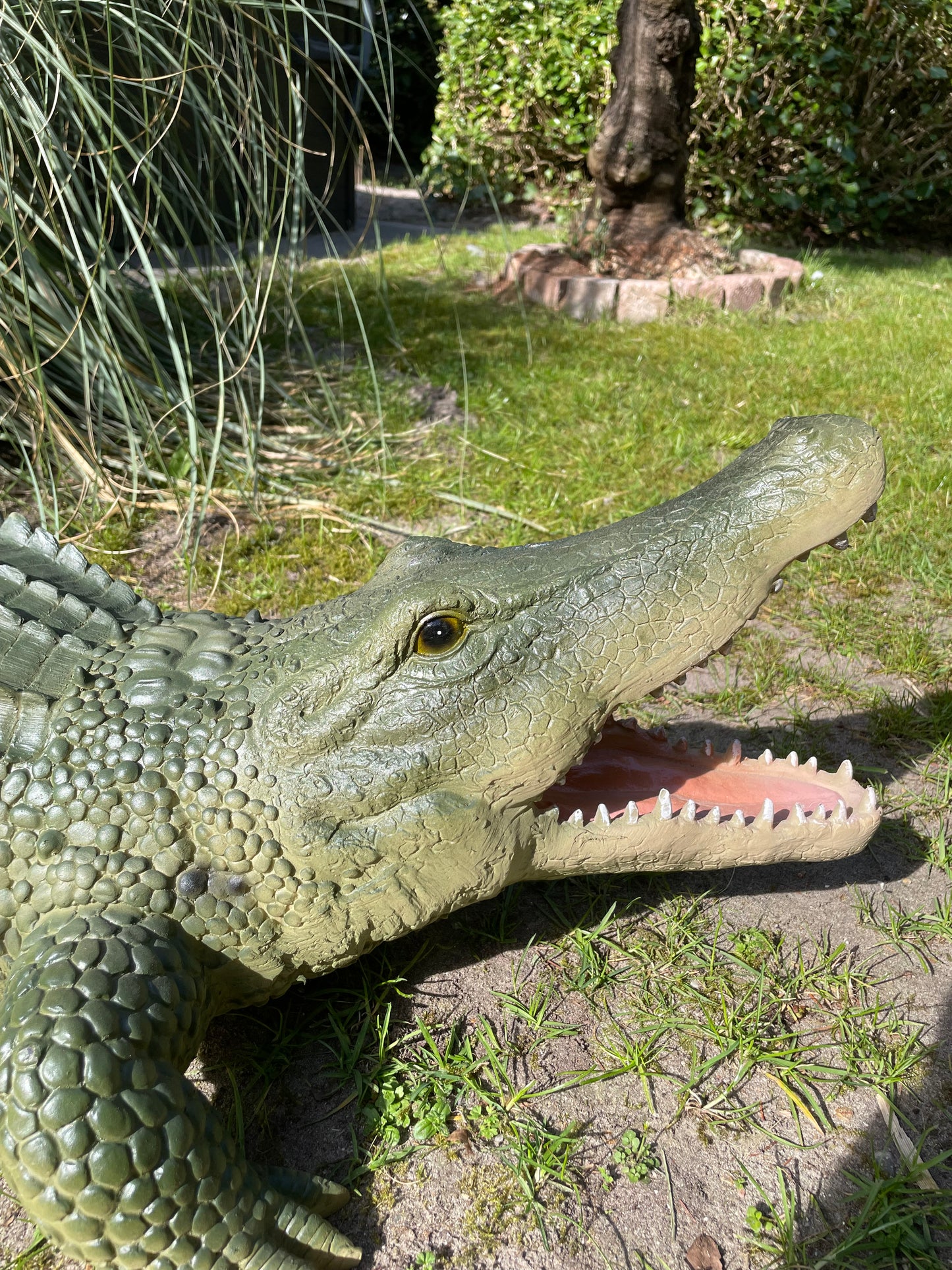 Beeld krokodil, Groen, zwembad, vijver, boerderij 100cm