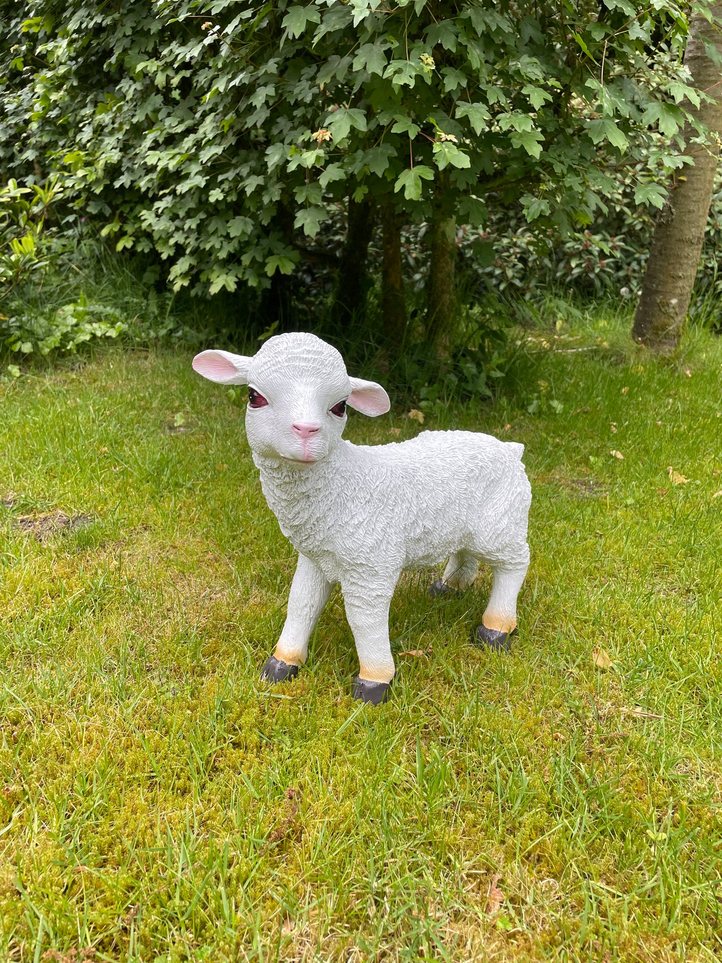 Beeld lammetje wit, tuin, gazon, boerderij  35cm