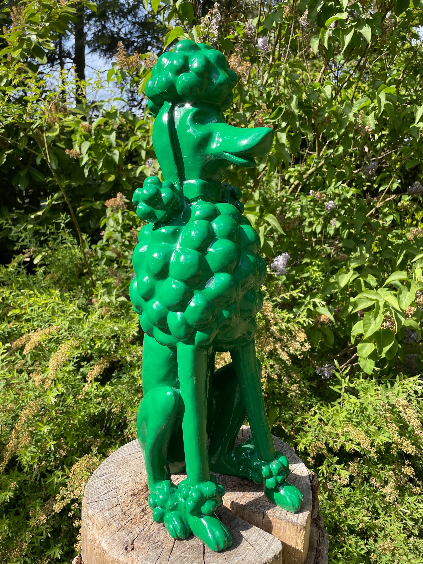 hond poedel abstract Groen, tuin, gazon  60cm