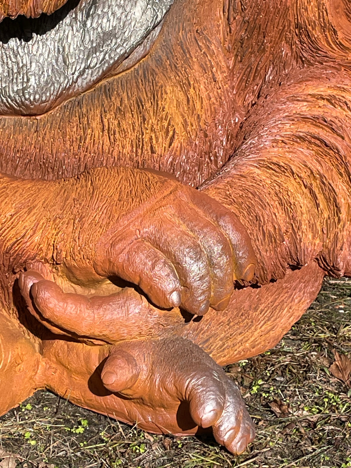 Orang Oetan  tuin, zwembad, vijver 80cm