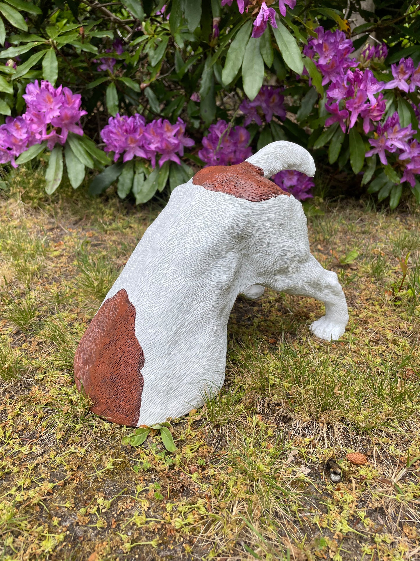 Beeld Jack Russel hond wit/bruin tuin, gazon, boerderij 30cm